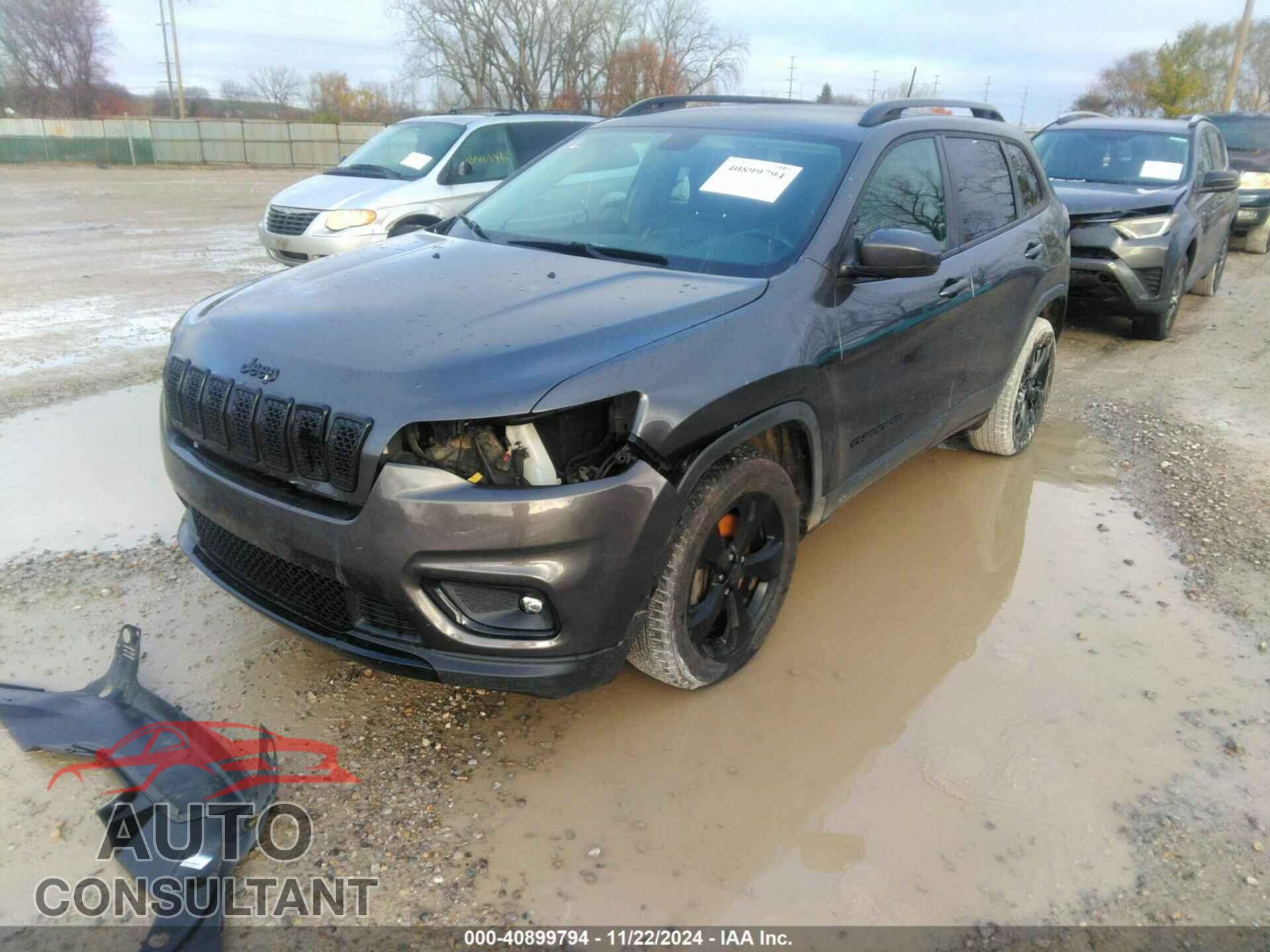 JEEP CHEROKEE 2019 - 1C4PJMLB1KD372586