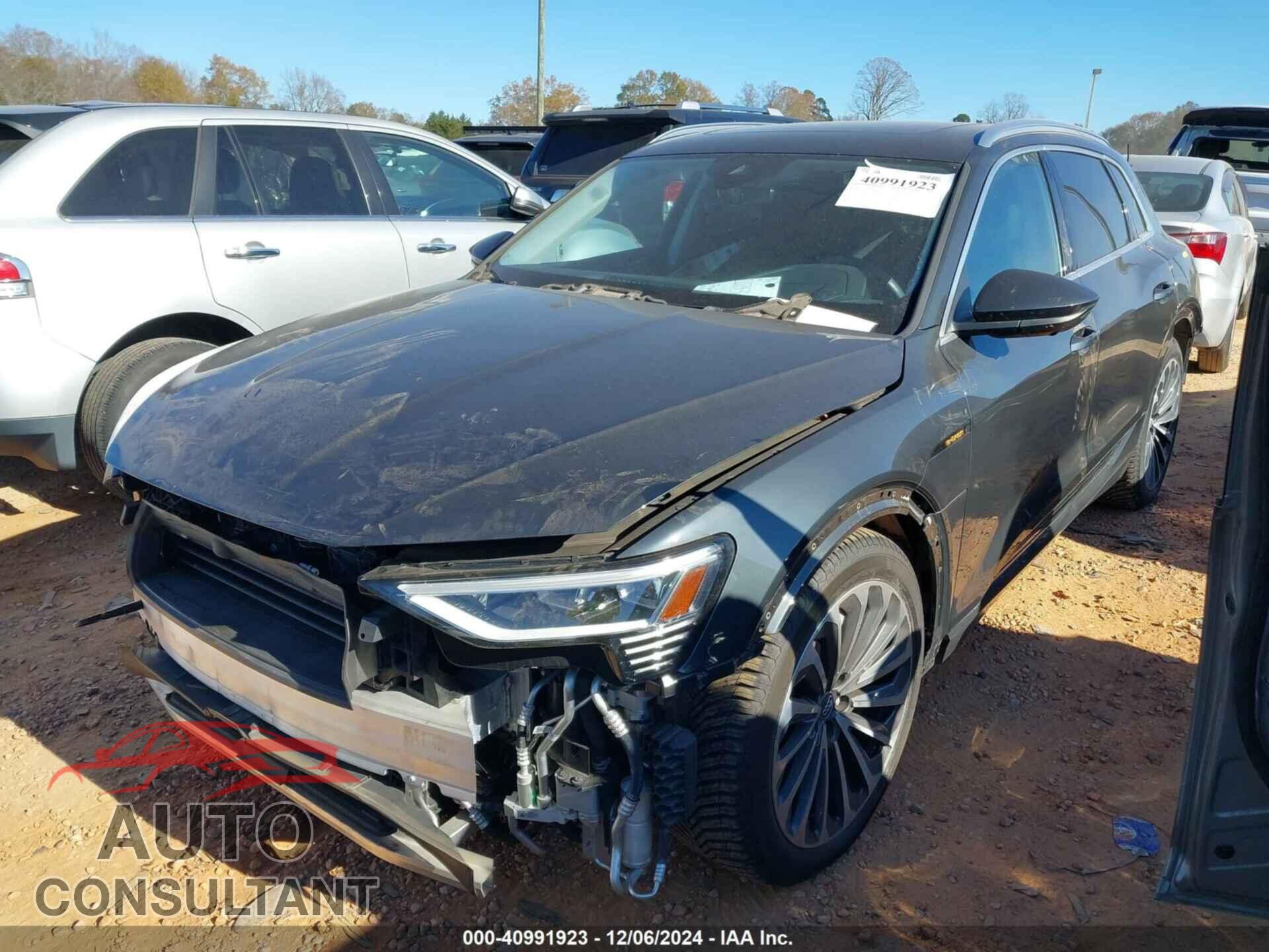 AUDI E-TRON 2019 - WA1VABGE2KB024625