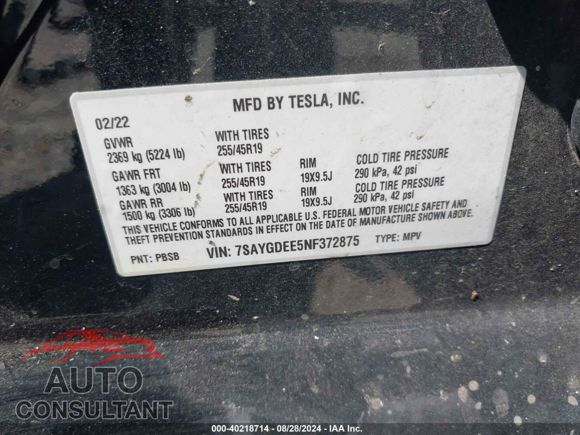 TESLA MODEL Y 2022 - 7SAYGDEE5NF372875