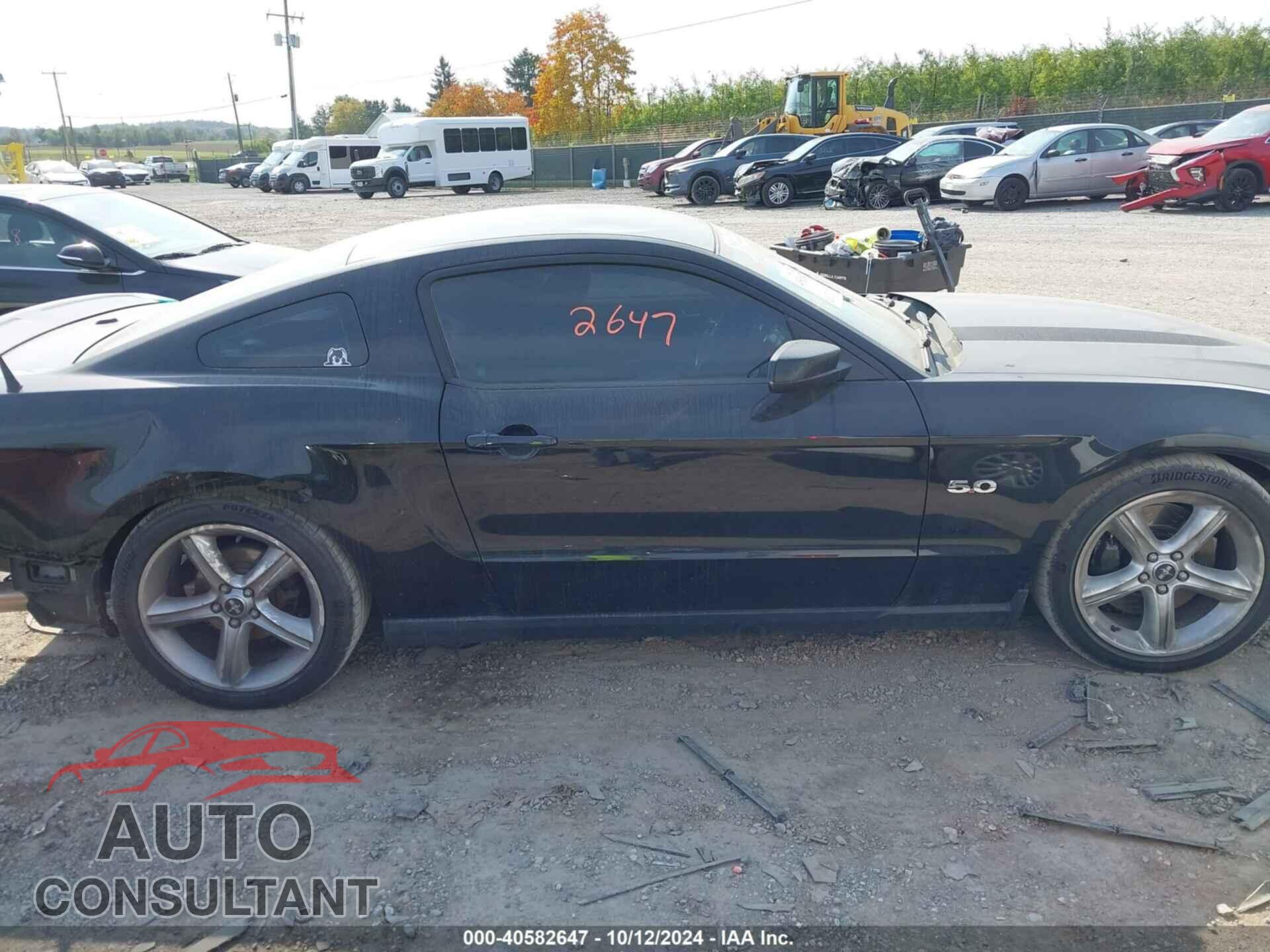FORD MUSTANG 2011 - 1ZVBP8CF4B5168018