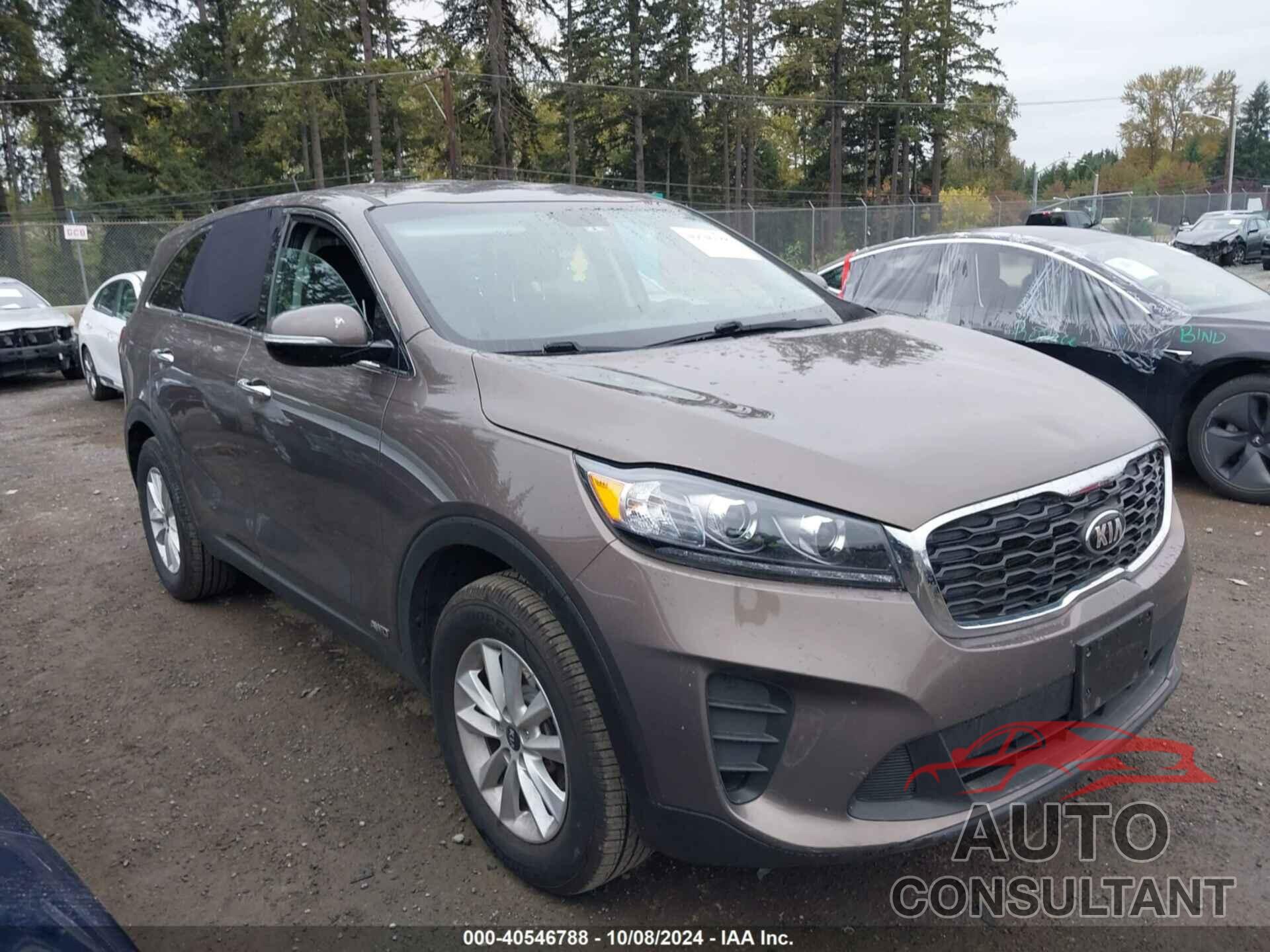 KIA SORENTO 2020 - 5XYPGDA36LG636351