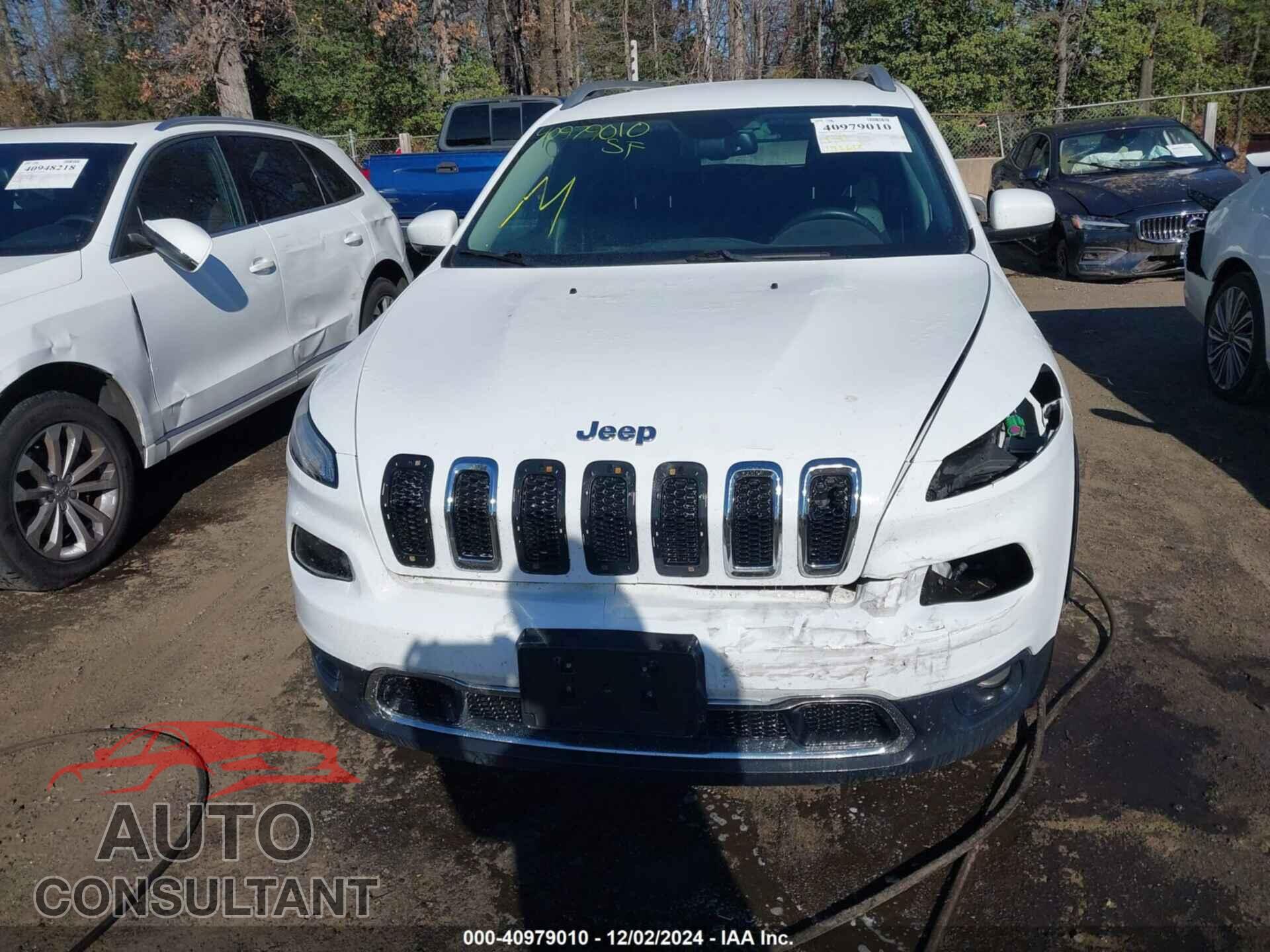 JEEP CHEROKEE 2016 - 1C4PJMDB7GW151648