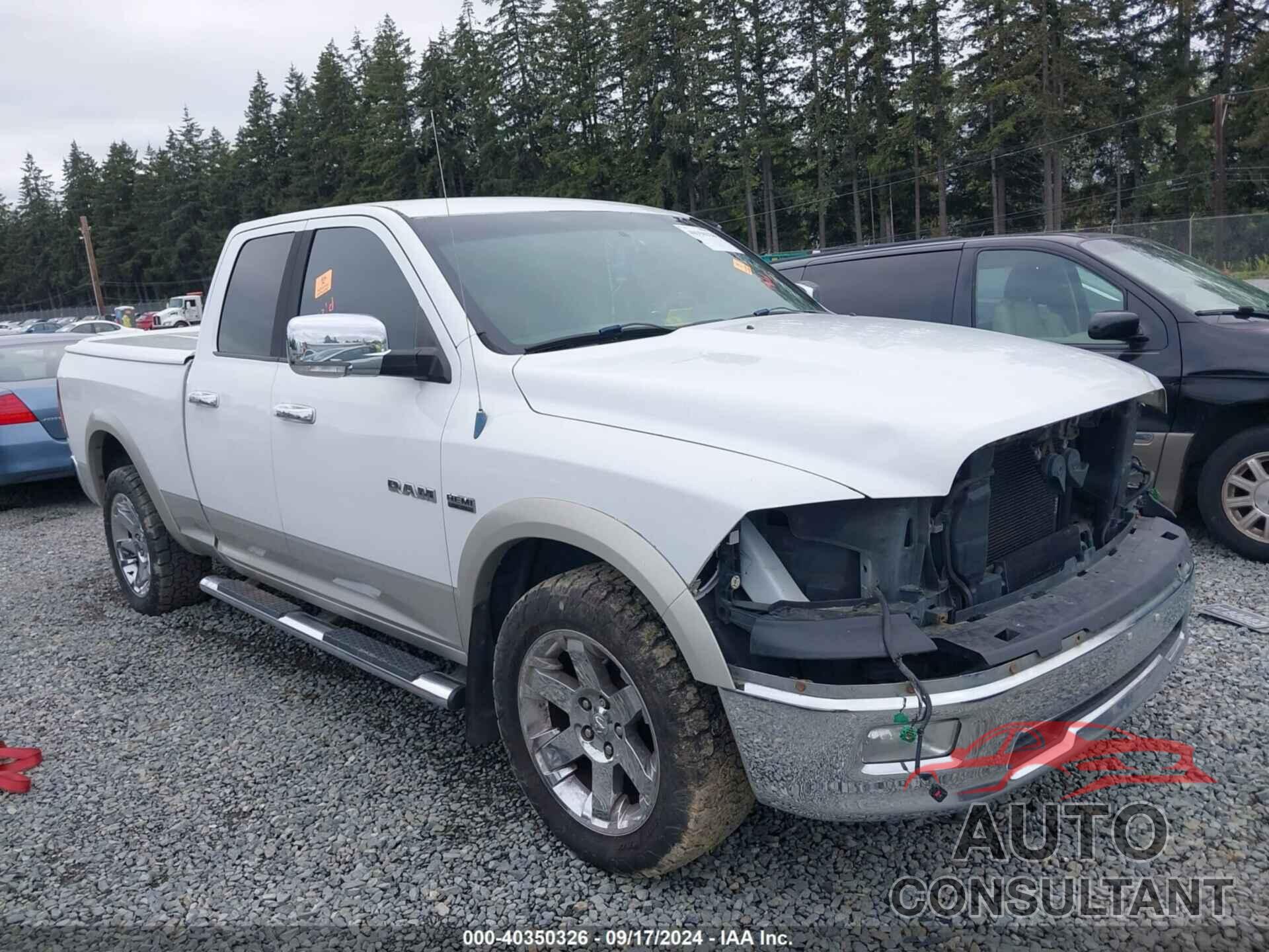 DODGE RAM 1500 2010 - 1D7RV1GT7AS175355