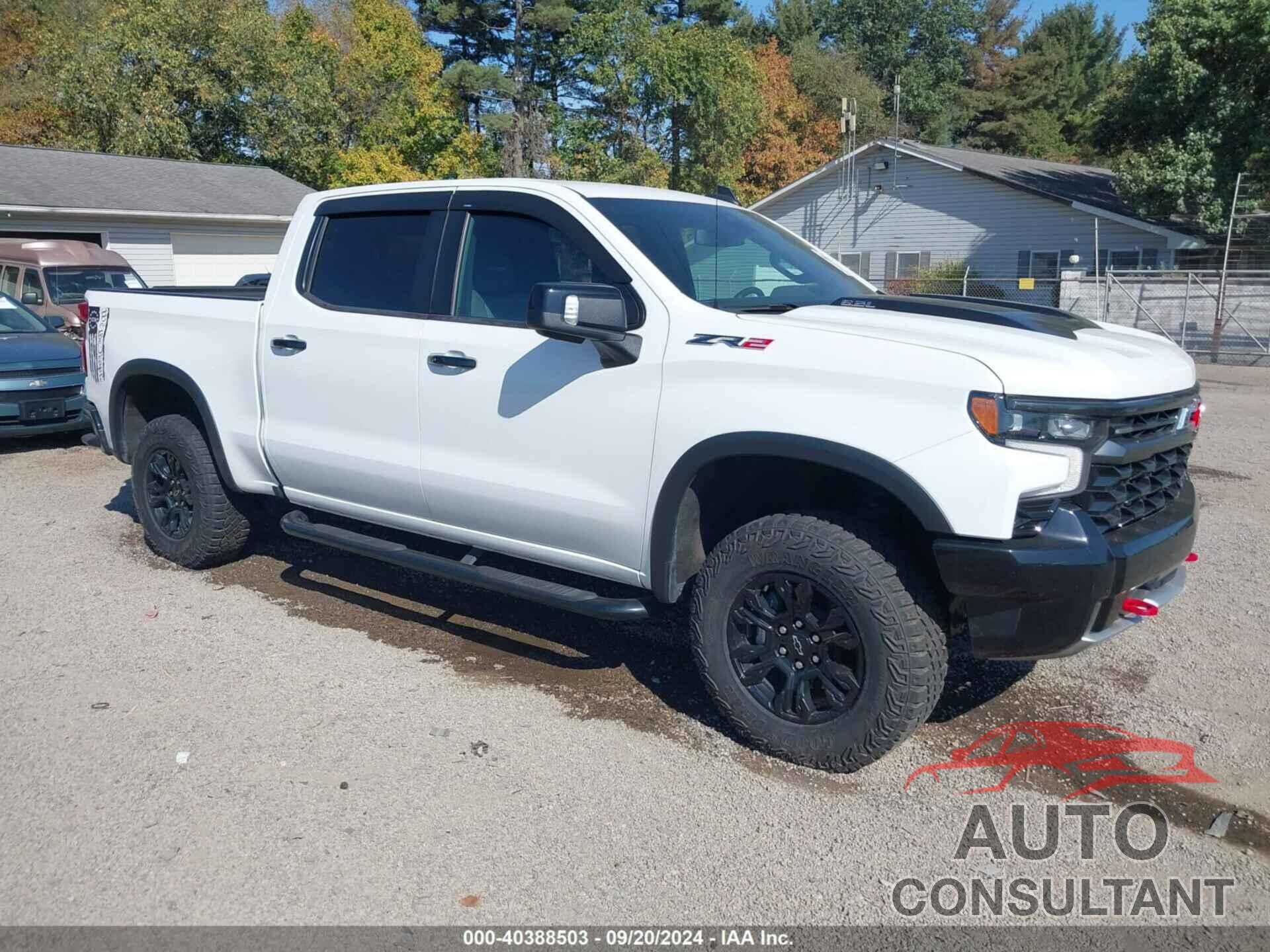 CHEVROLET SILVERADO 1500 2023 - 3GCUDHEL7PG189405