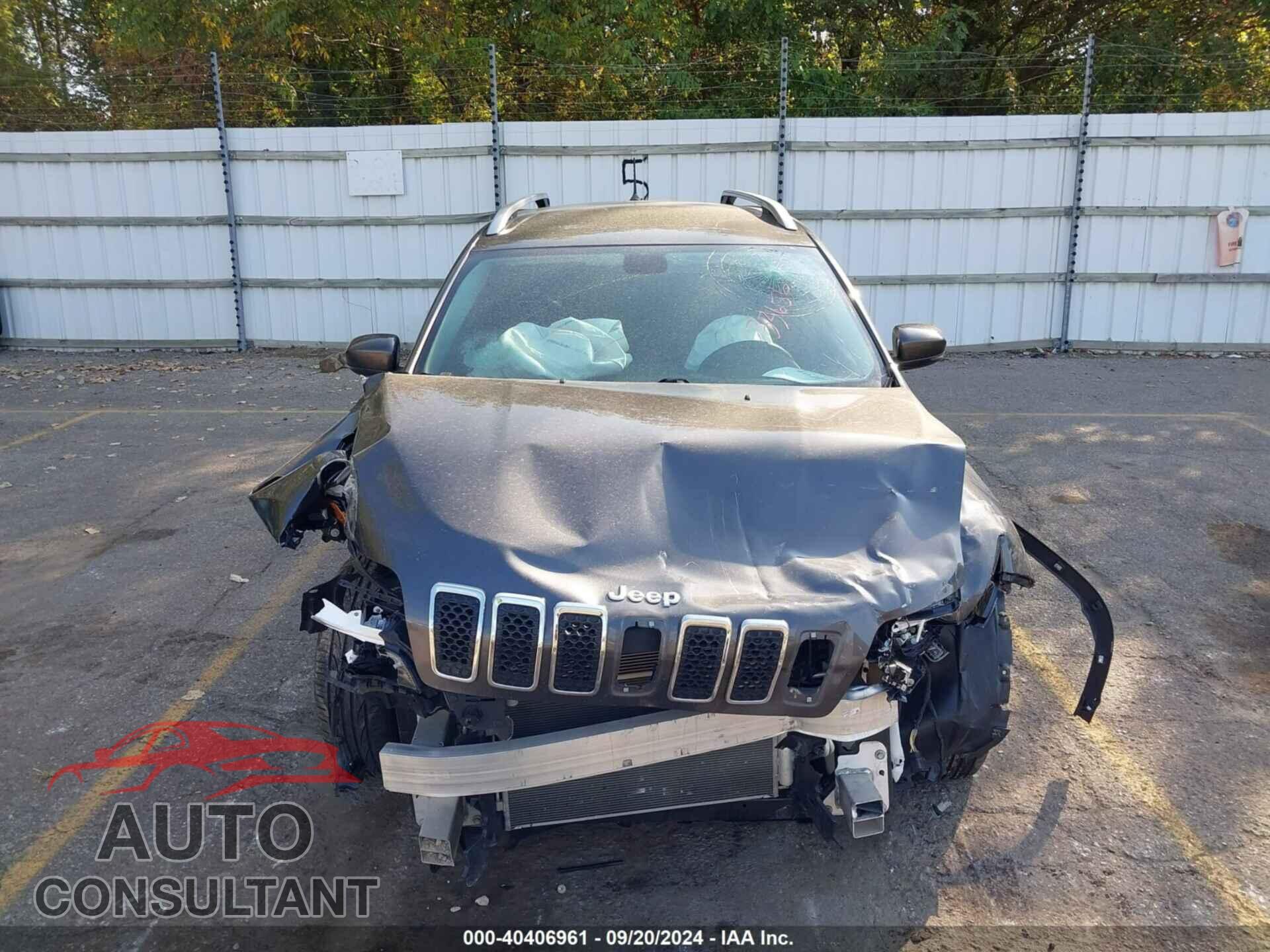 JEEP CHEROKEE 2019 - 1C4PJLDB5KD433656