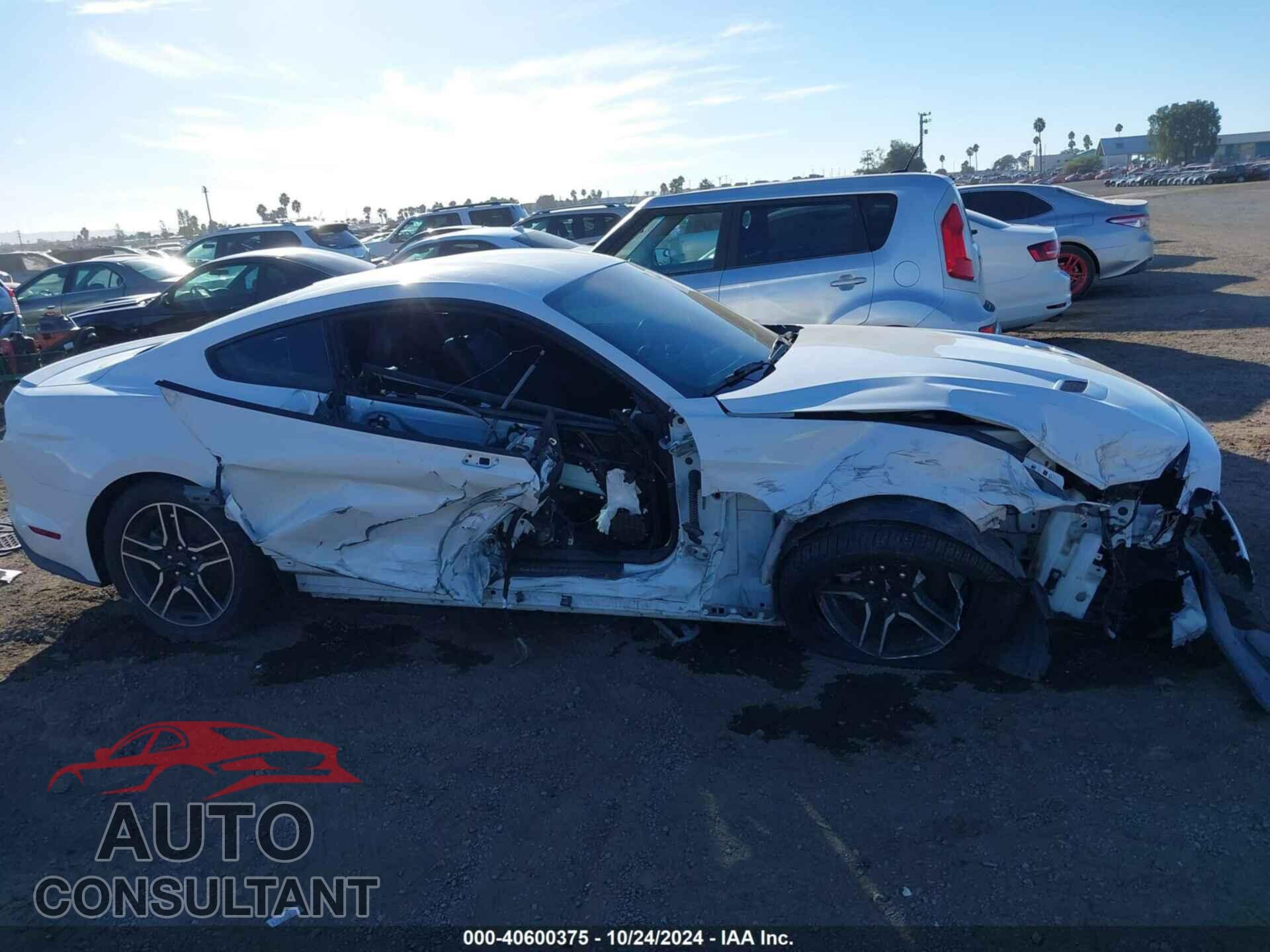 FORD MUSTANG 2020 - 1FA6P8TH9L5132015