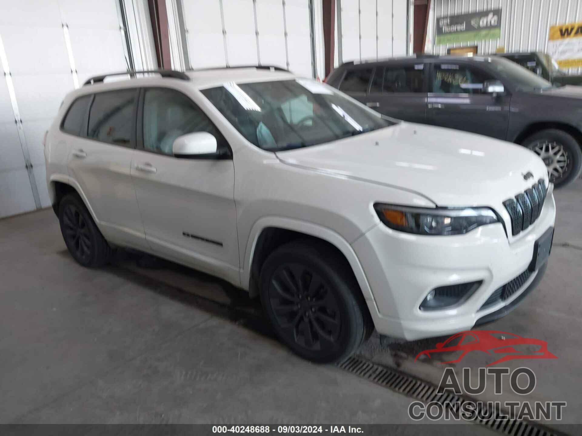 JEEP CHEROKEE 2019 - 1C4PJMDX4KD338314