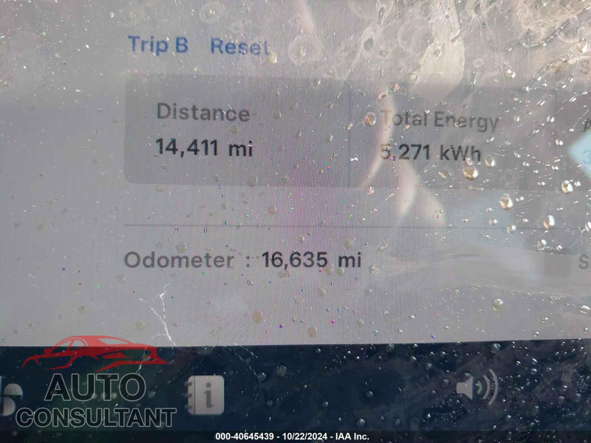 TESLA MODEL Y 2024 - 7SAYGDEE6RF025741