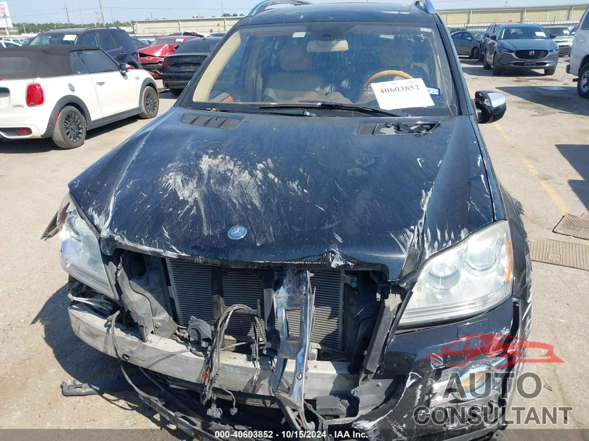 MERCEDES-BENZ GL 550 2009 - 4JGBF86E59A498918