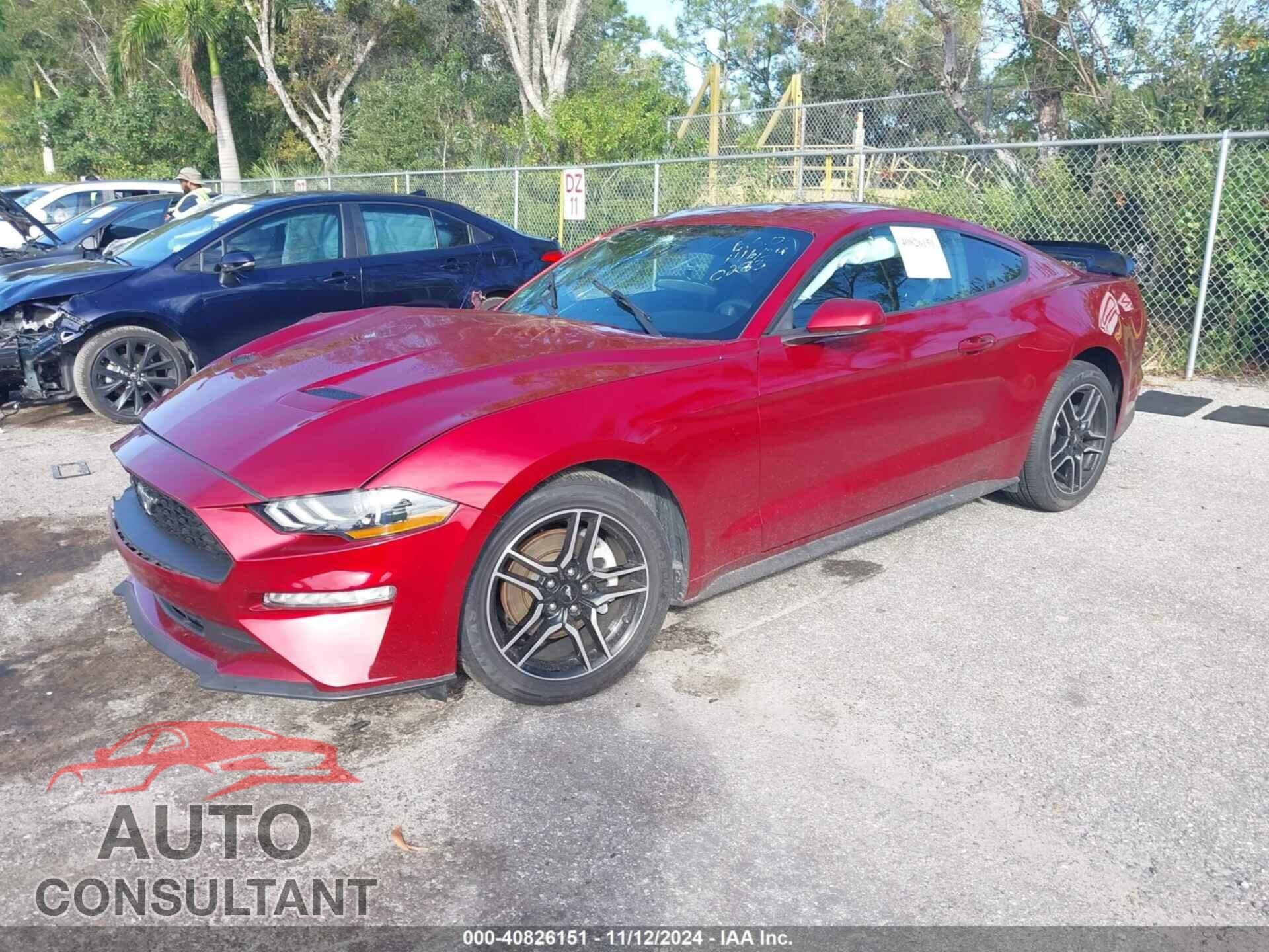 FORD MUSTANG 2019 - 1FA6P8TH4K5200283