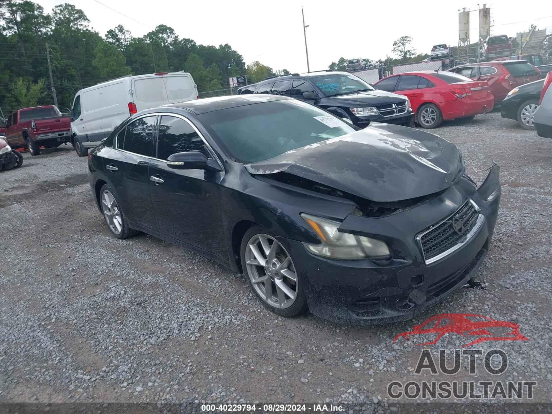 NISSAN MAXIMA 2011 - 1N4AA5AP7BC804913