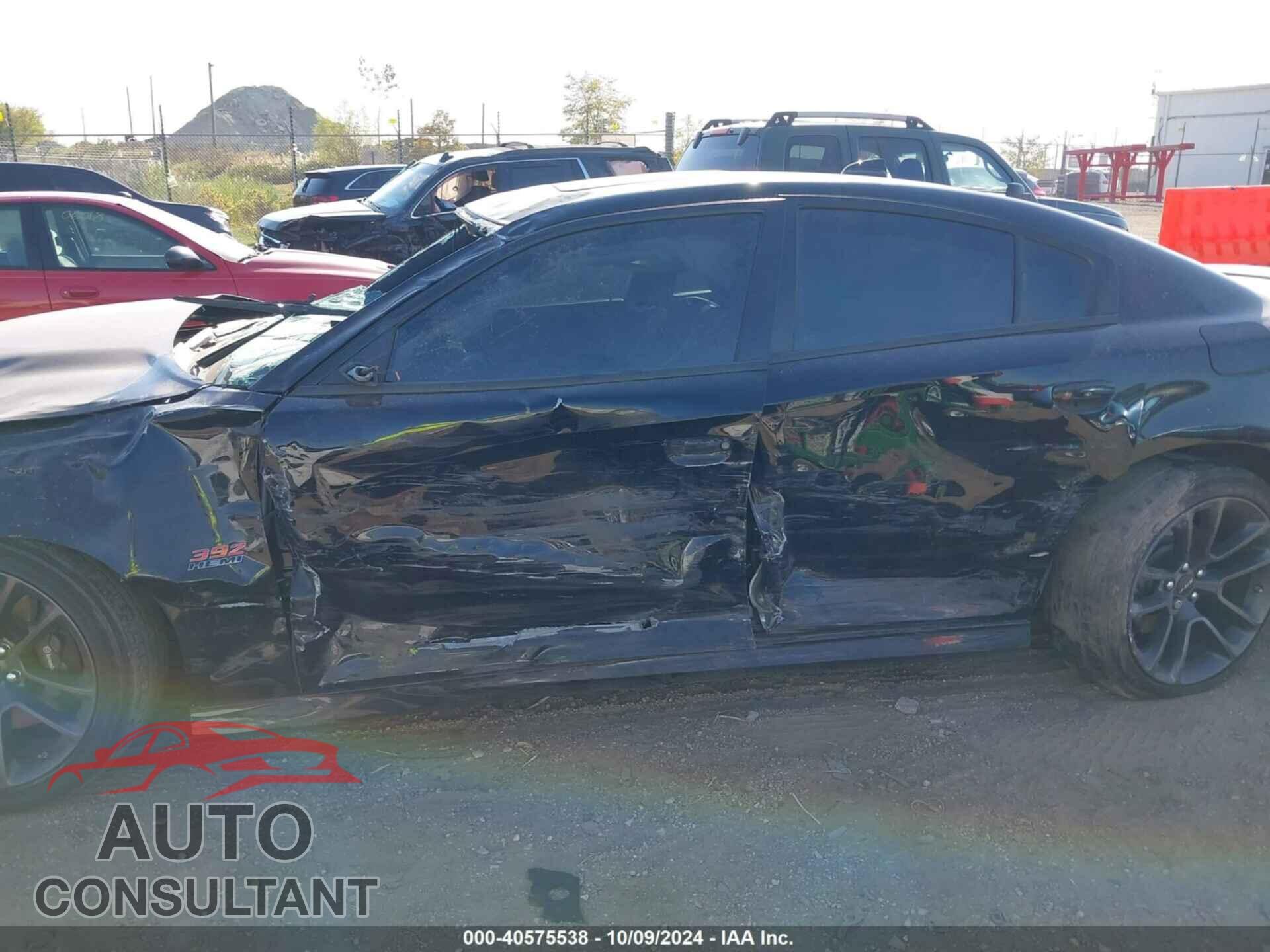 DODGE CHARGER 2021 - 2C3CDXGJ7MH540010