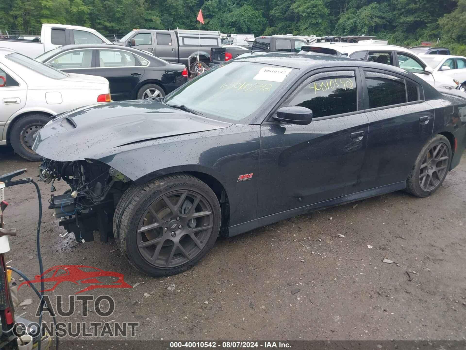 DODGE CHARGER 2019 - 2C3CDXGJ6KH530517
