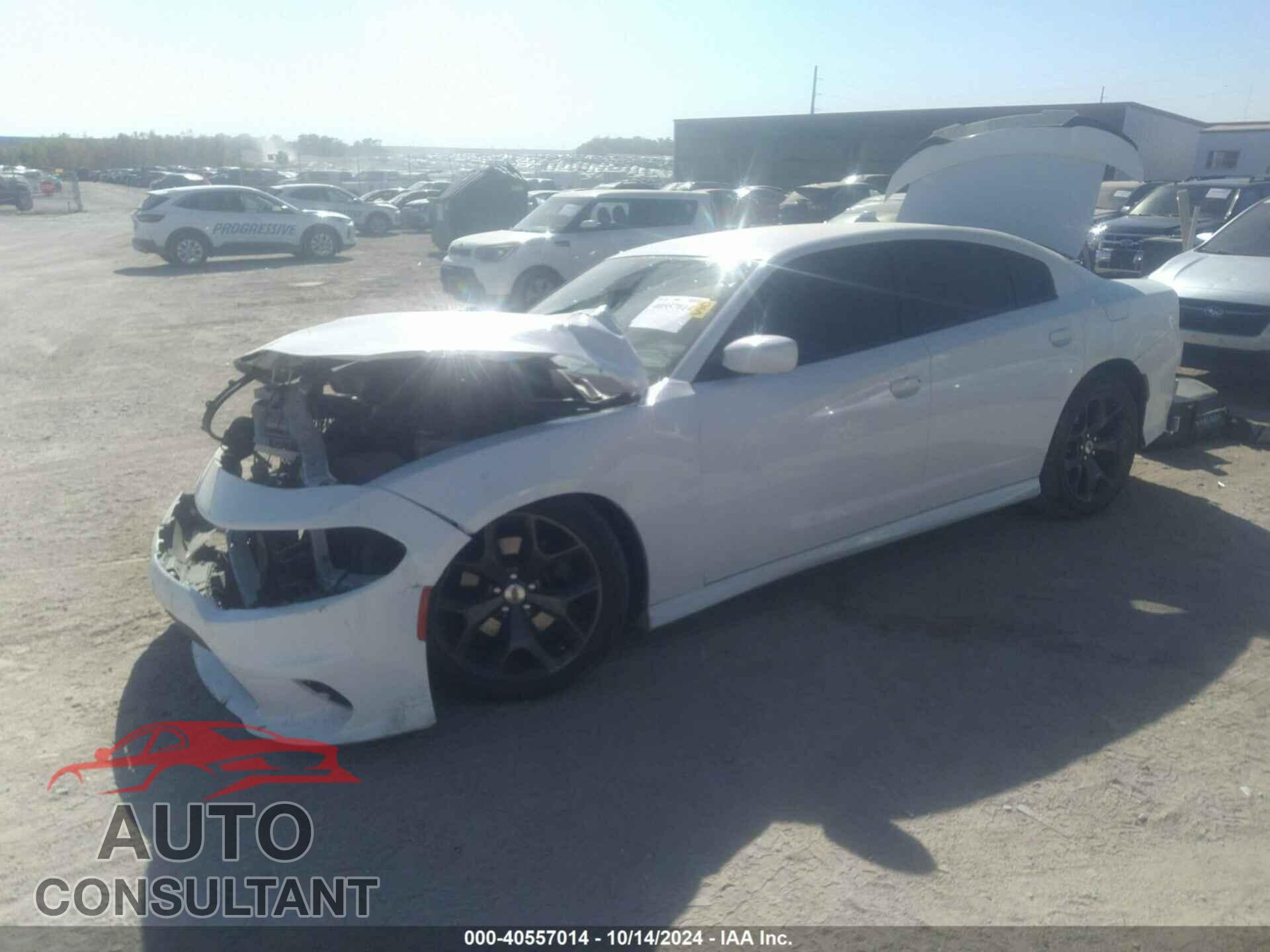 DODGE CHARGER 2019 - 2C3CDXCT5KH630020