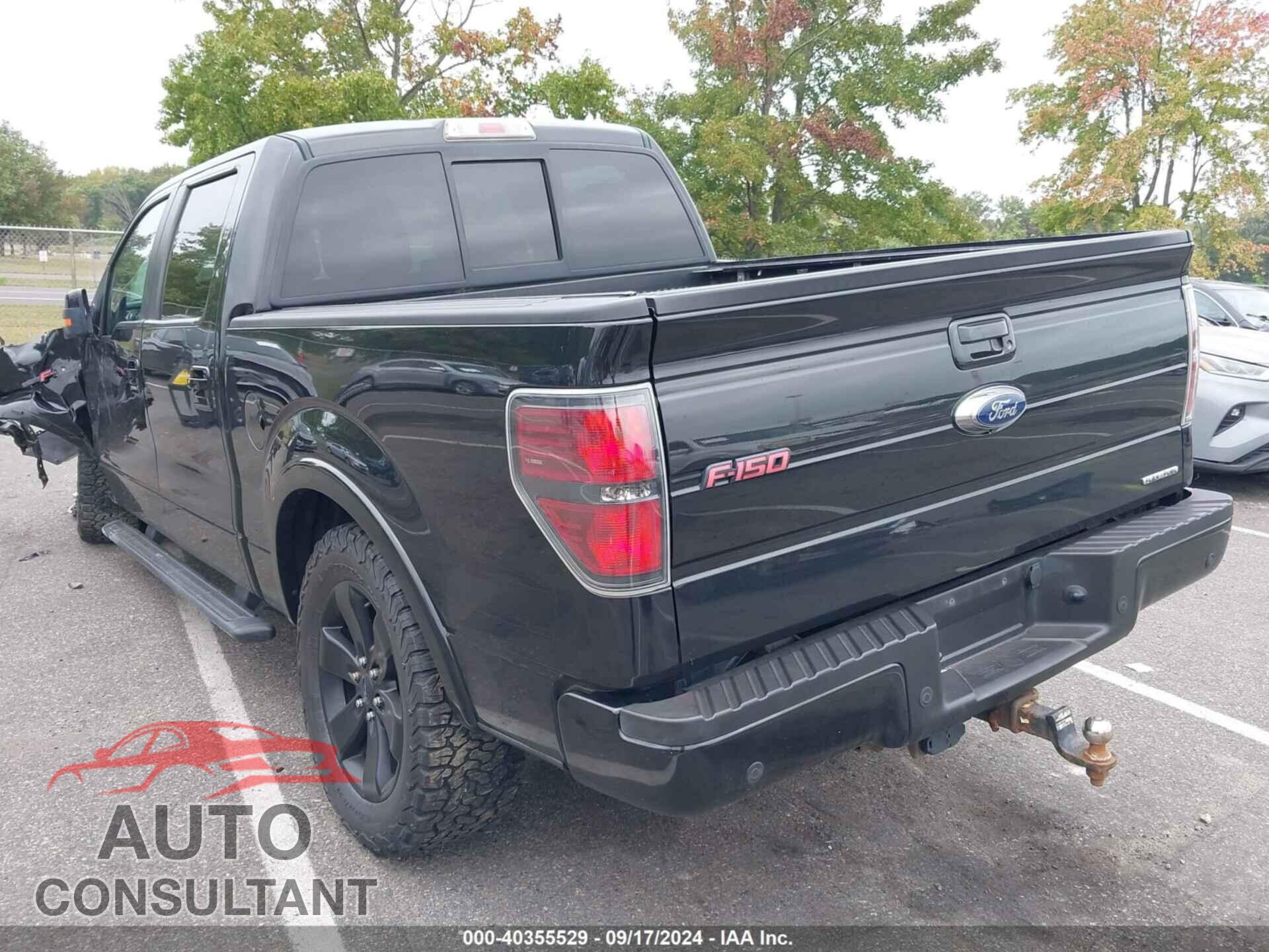 FORD F-150 2013 - 1FTFW1EF3DFD42315
