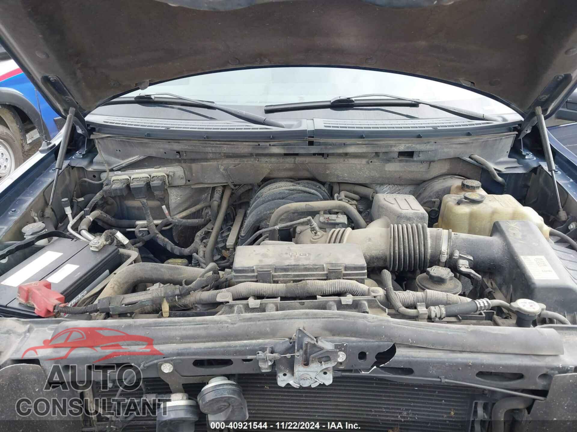 FORD F-150 2009 - 1FTRX14829KB33871