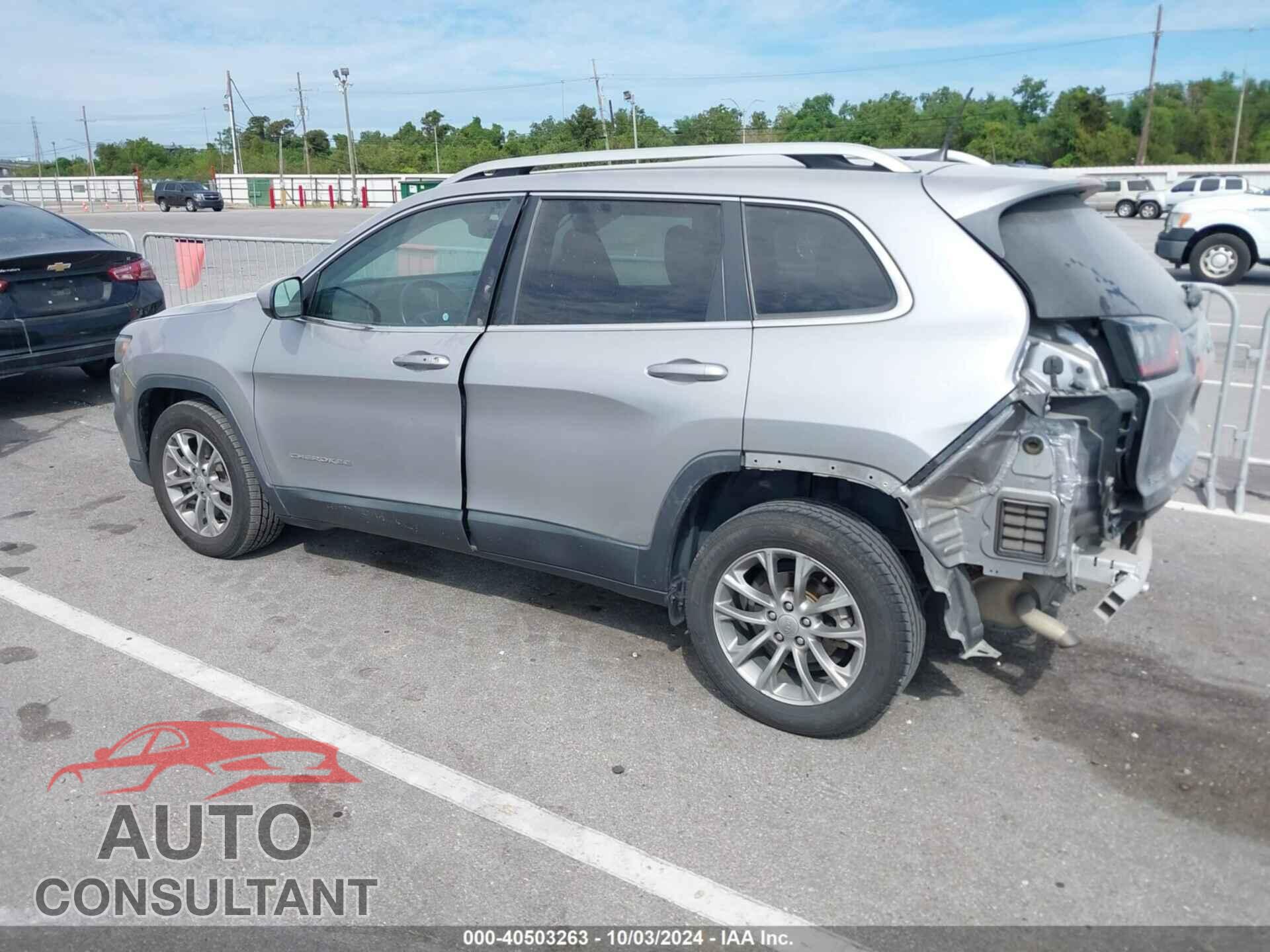 JEEP CHEROKEE 2019 - 1C4PJLLB1KD205543