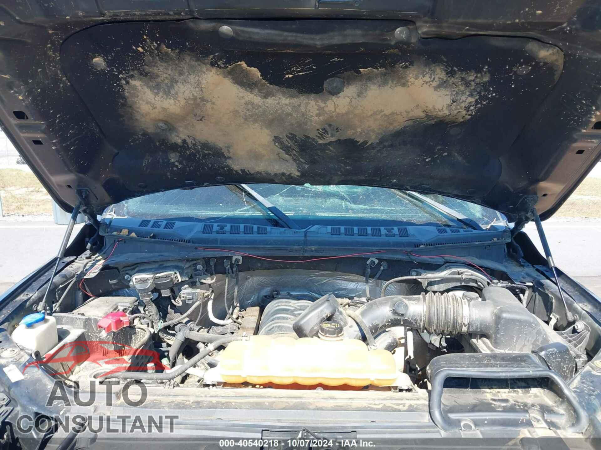 FORD F150 2017 - 1FTEW1EF6HFB04833