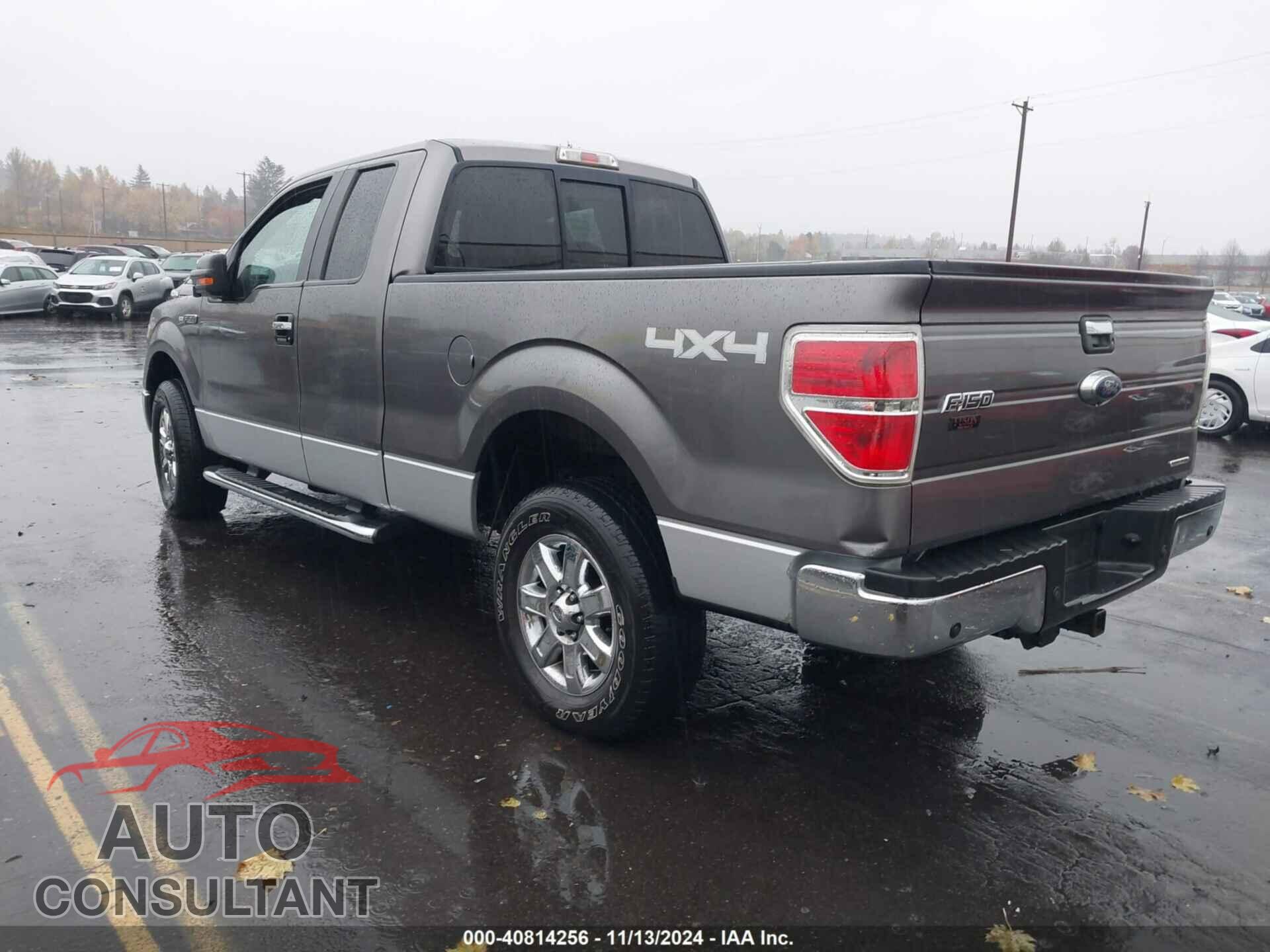 FORD F-150 2013 - 1FTFX1EF4DFC41054