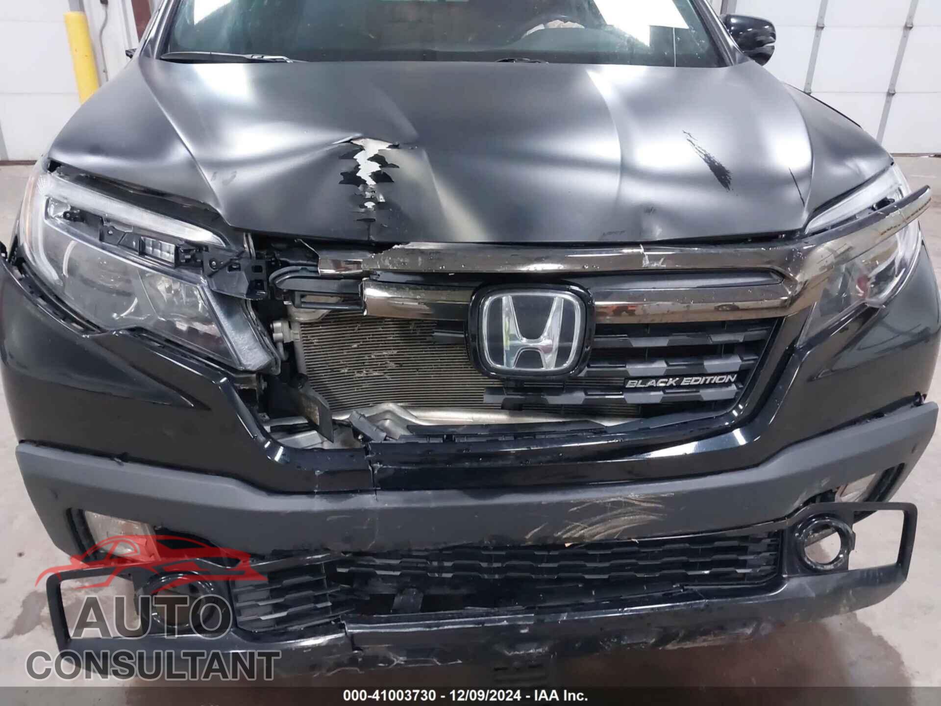 HONDA RIDGELINE 2019 - 5FPYK3F8XKB502067