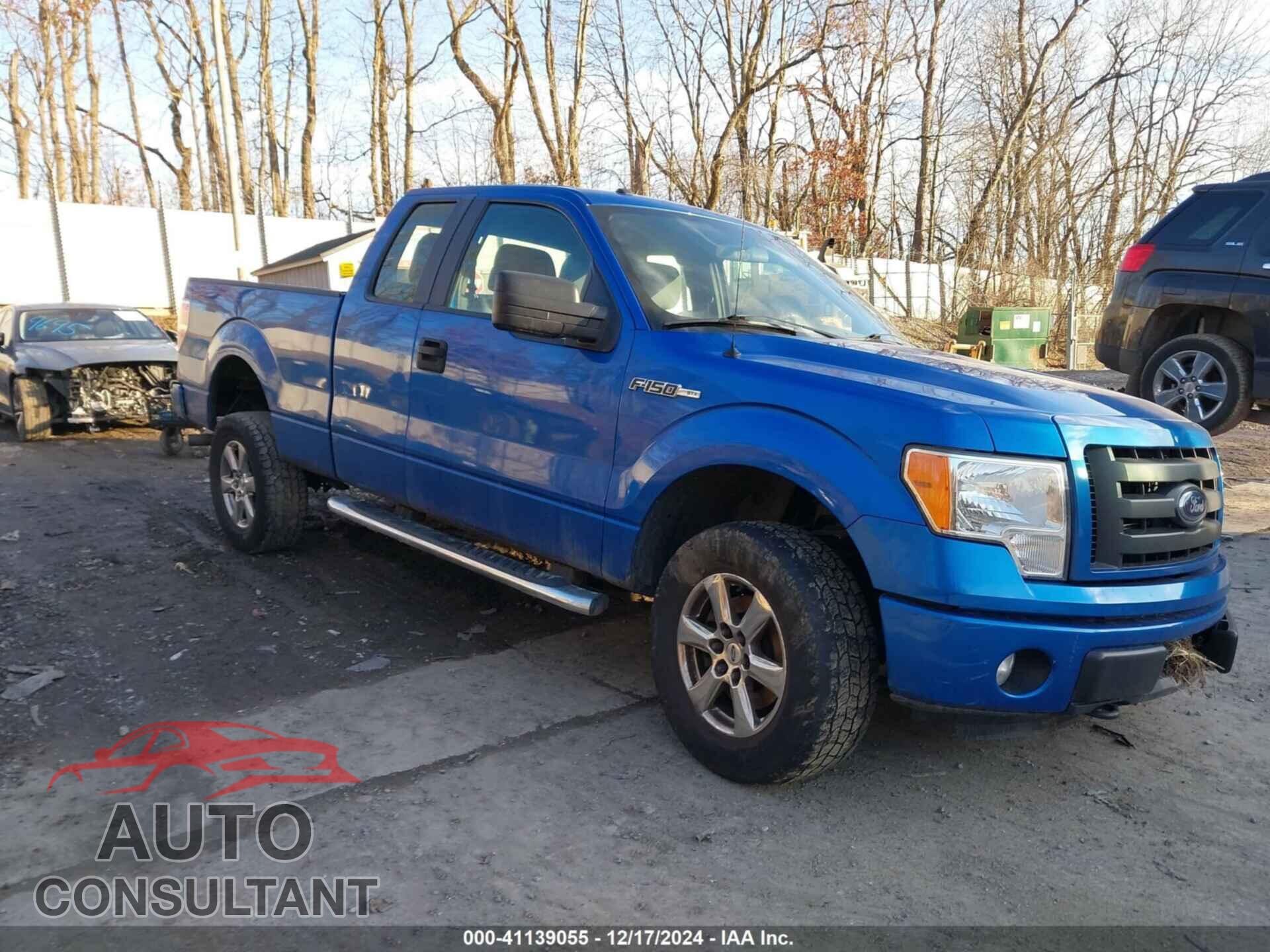 FORD F-150 2012 - 1FTFX1EF7CFC31066