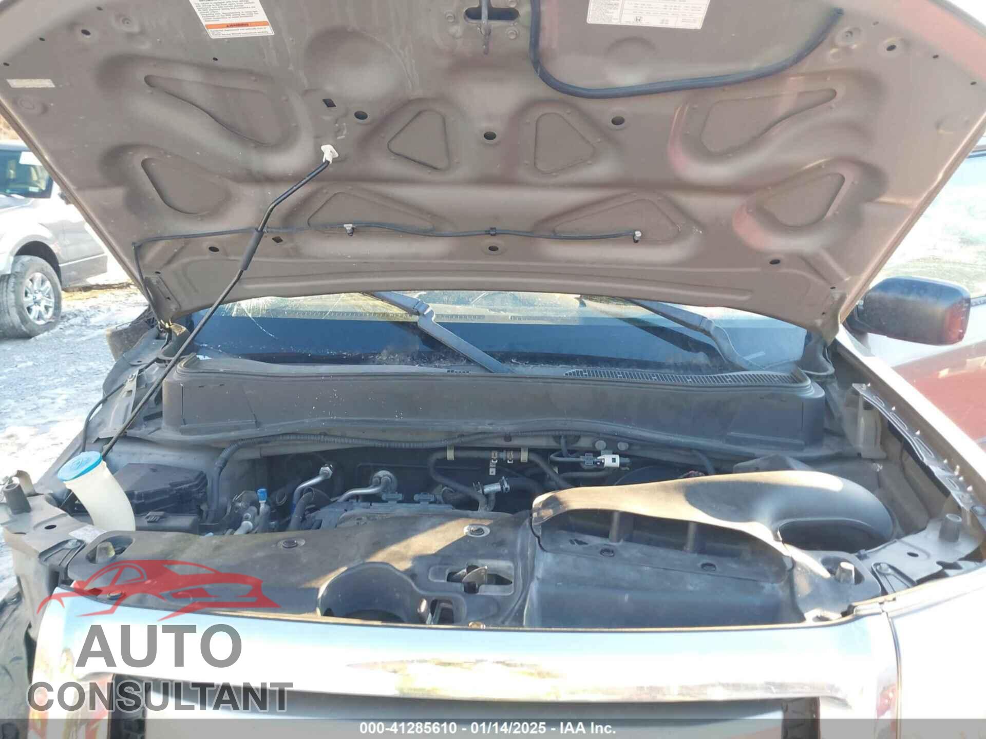 HONDA PILOT 2009 - 5FNYF38259B021322