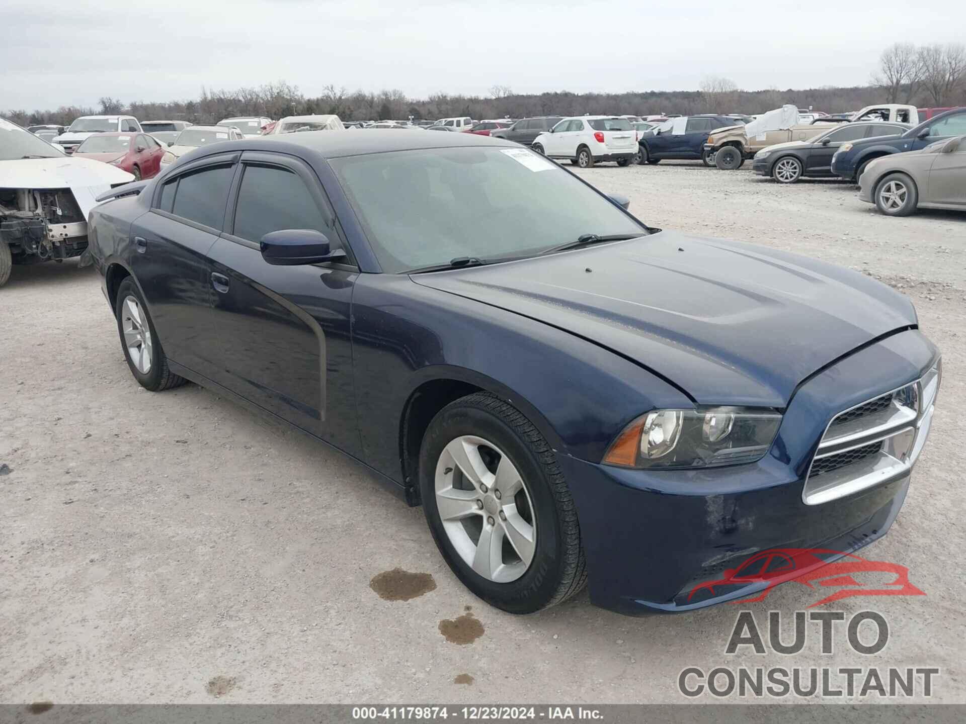 DODGE CHARGER 2014 - 2C3CDXBGXEH309129