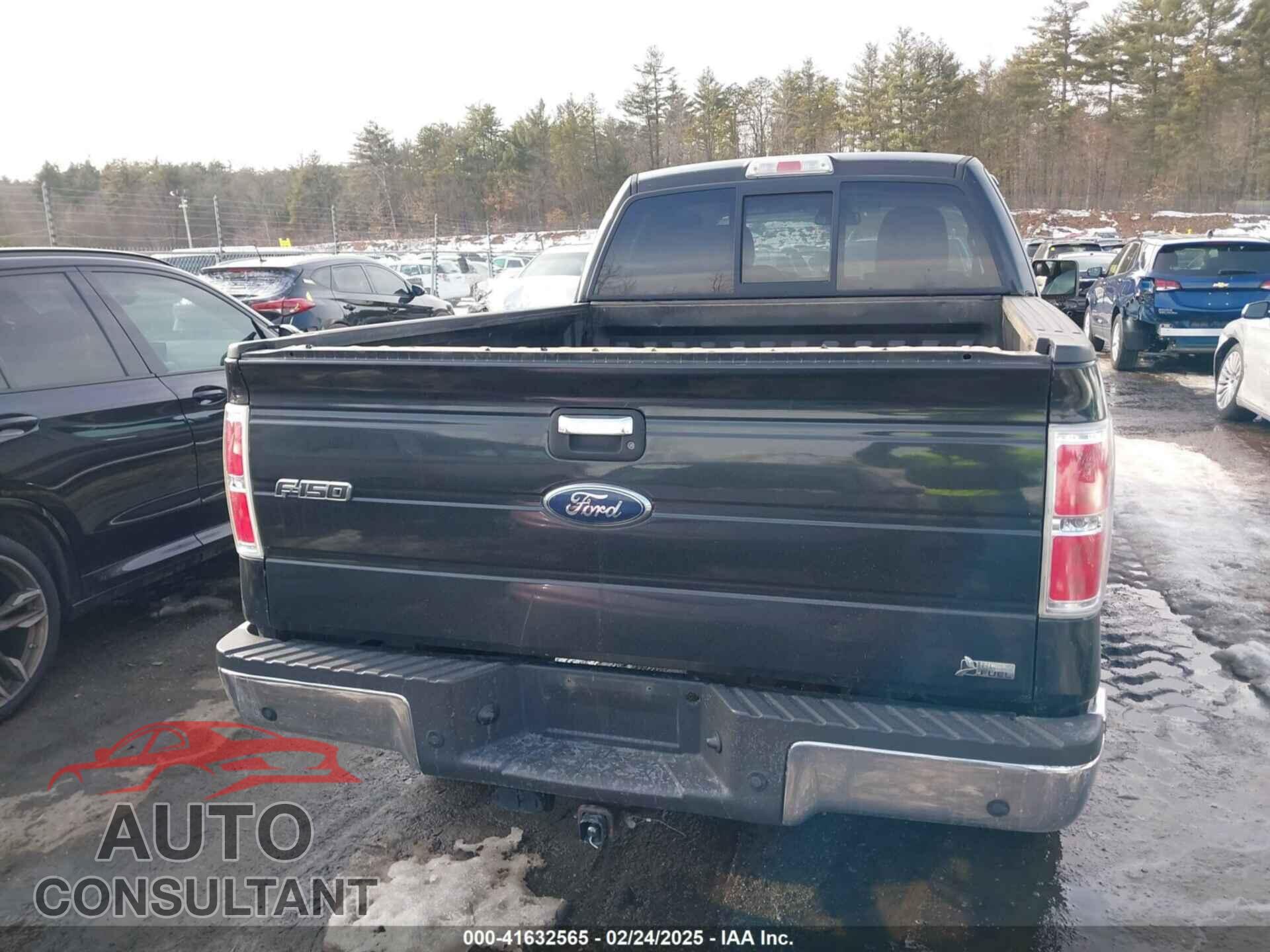 FORD F-150 2010 - 1FTFX1EV5AFD47497