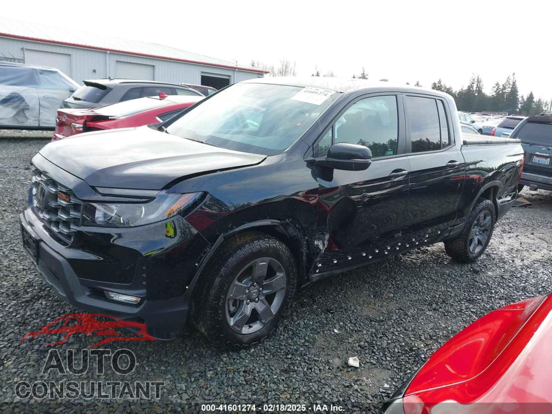 HONDA RIDGELINE 2024 - 5FPYK3F65RB021409
