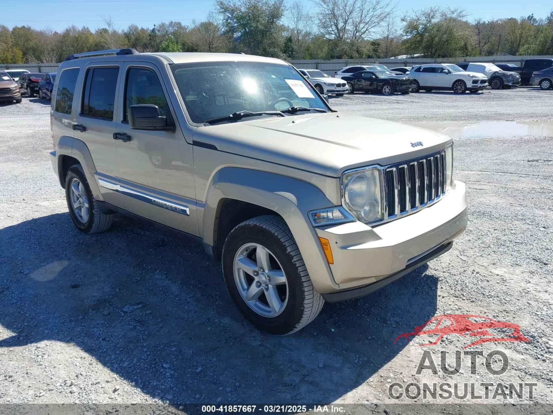 JEEP LIBERTY 2010 - 1J4PP5GK3AW123508