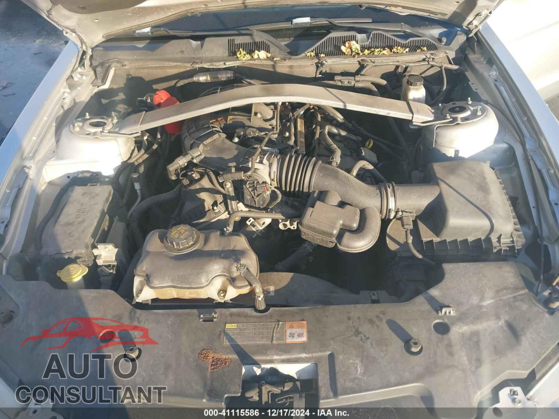 FORD MUSTANG 2012 - 1ZVBP8EM9C5237136