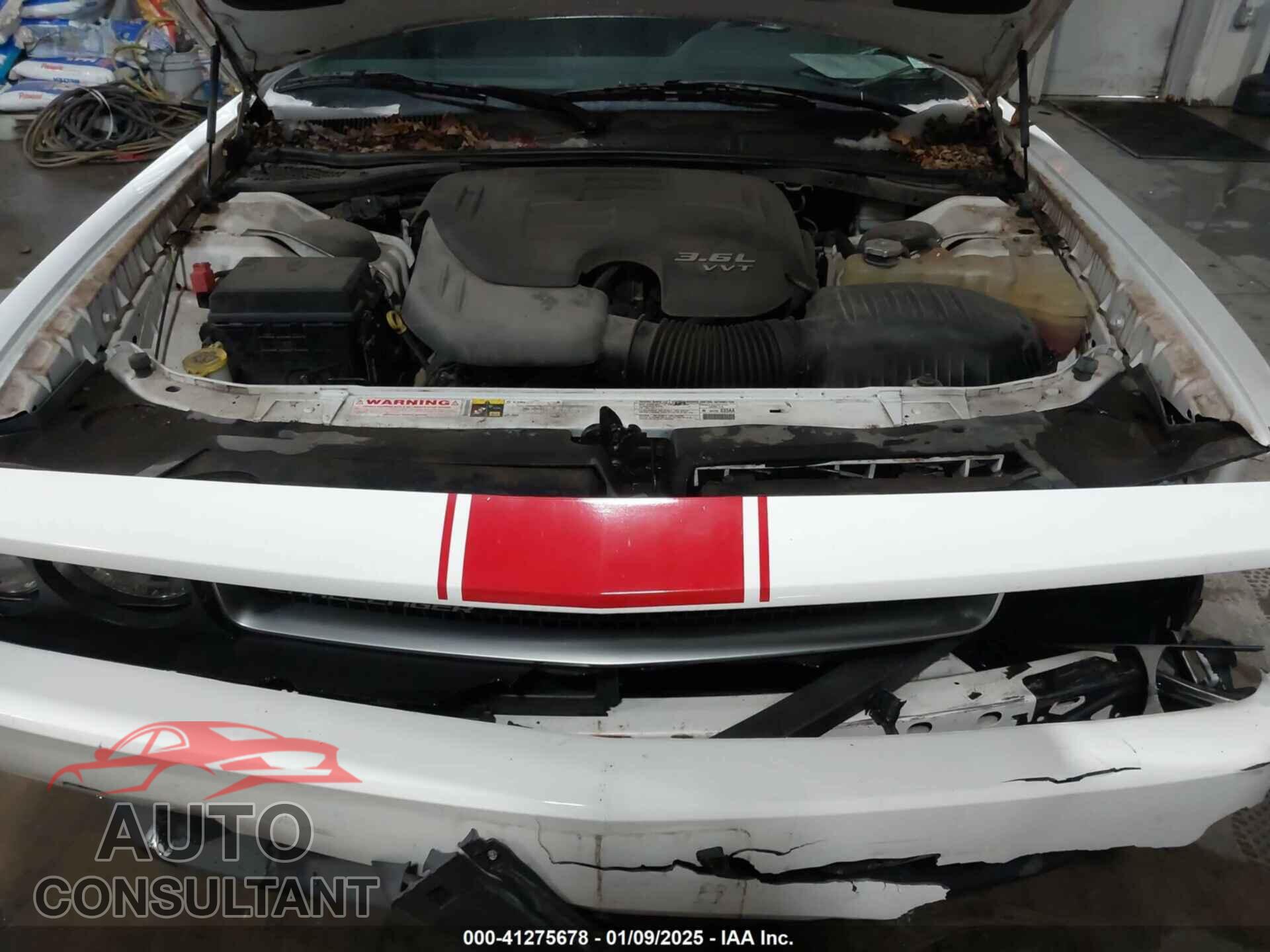 DODGE CHALLENGER 2013 - 2C3CDYAG8DH554016