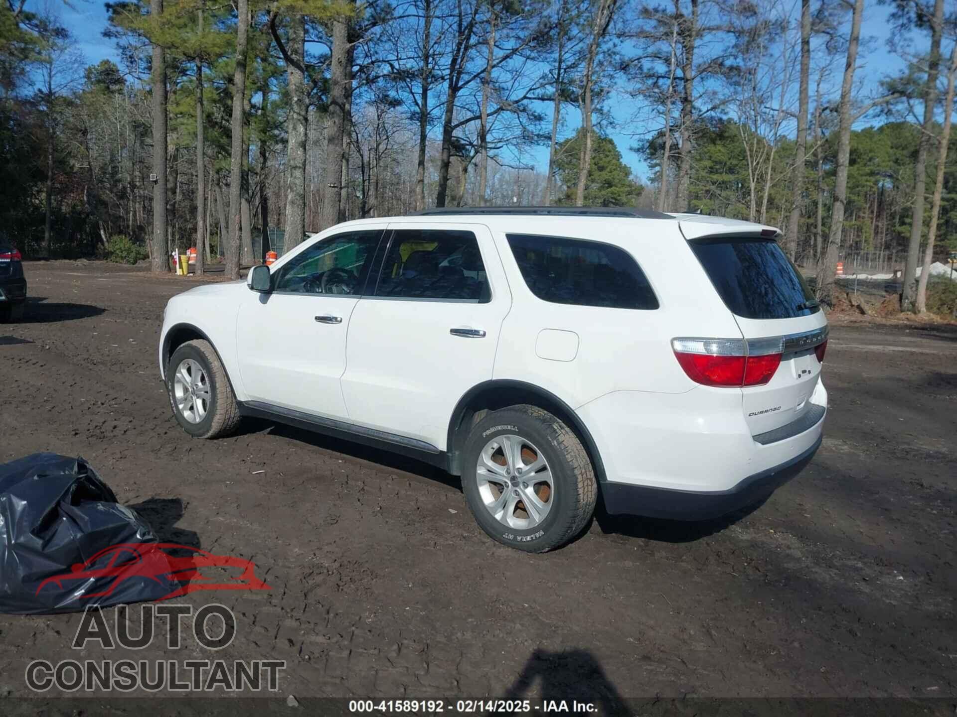 DODGE DURANGO 2013 - 1C4RDHDG3DC659406