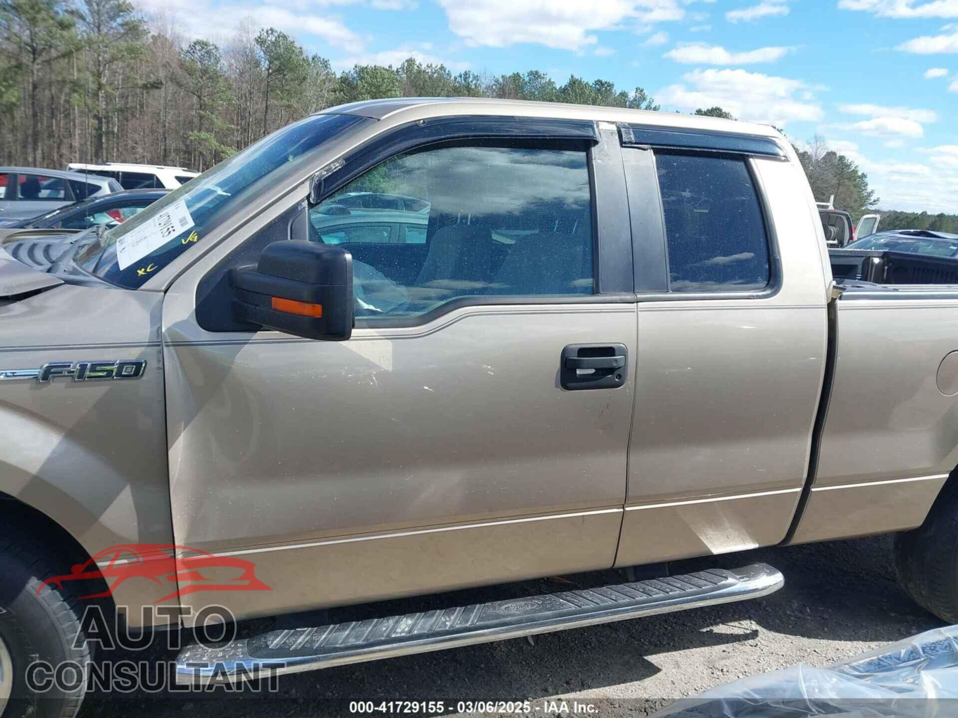 FORD F-150 2011 - 1FTFX1EF8BFA32459