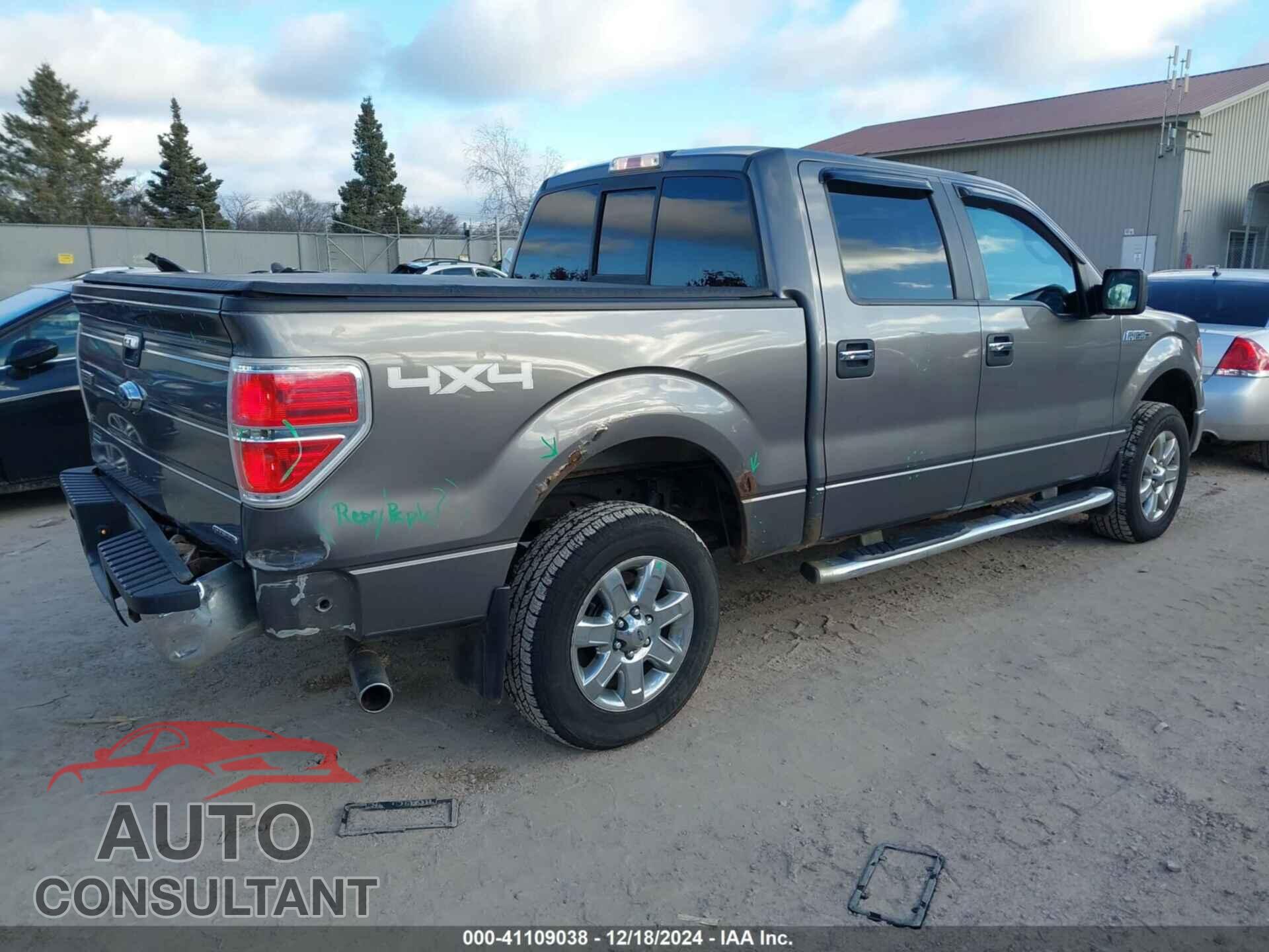 FORD F-150 2013 - 1FTFW1EF0DKF24593