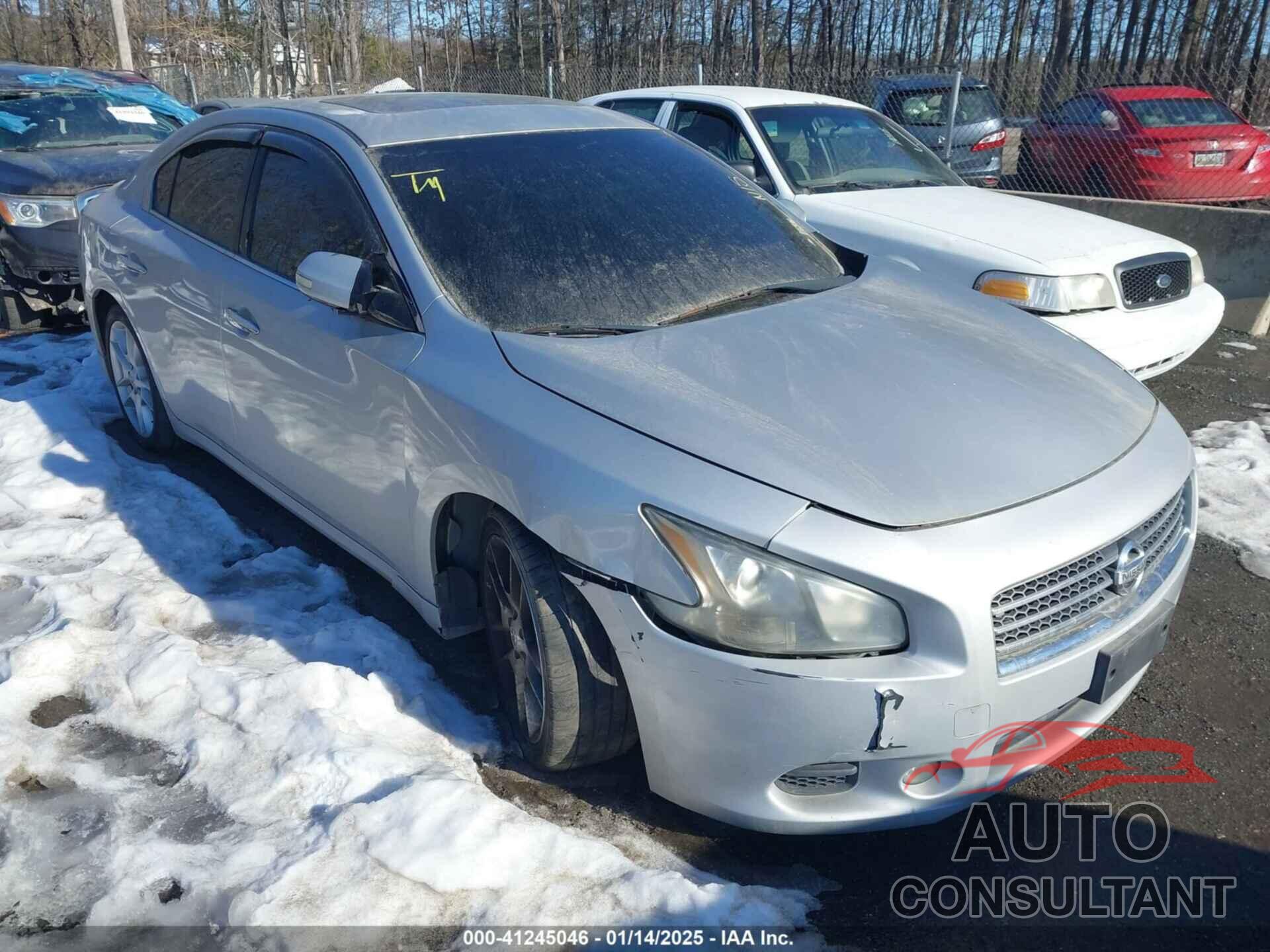 NISSAN MAXIMA 2011 - 1N4AA5AP6BC820794