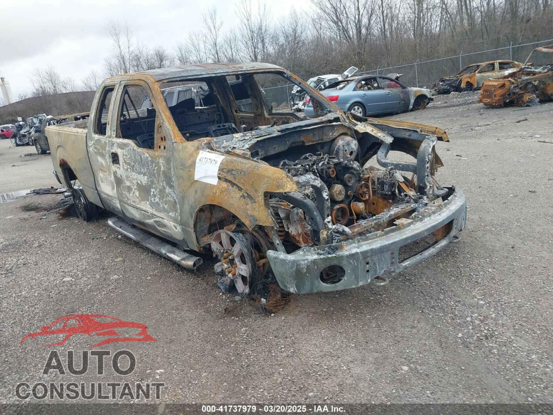 FORD F-150 2010 - 1FTFX1EV1AFC15580