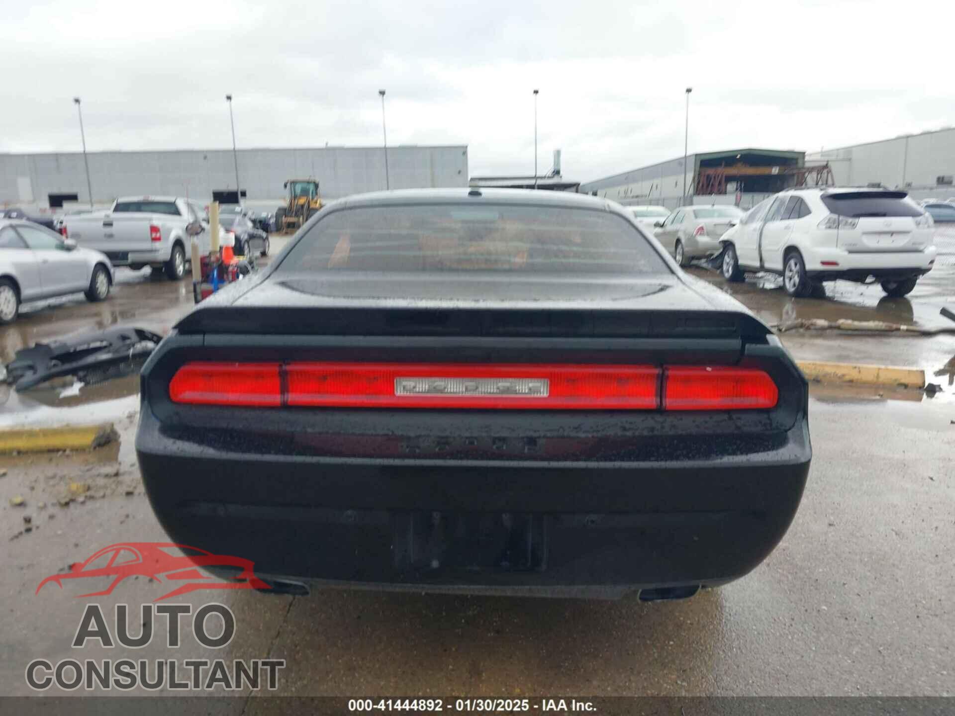DODGE CHALLENGER 2013 - 2C3CDYBTXDH513902
