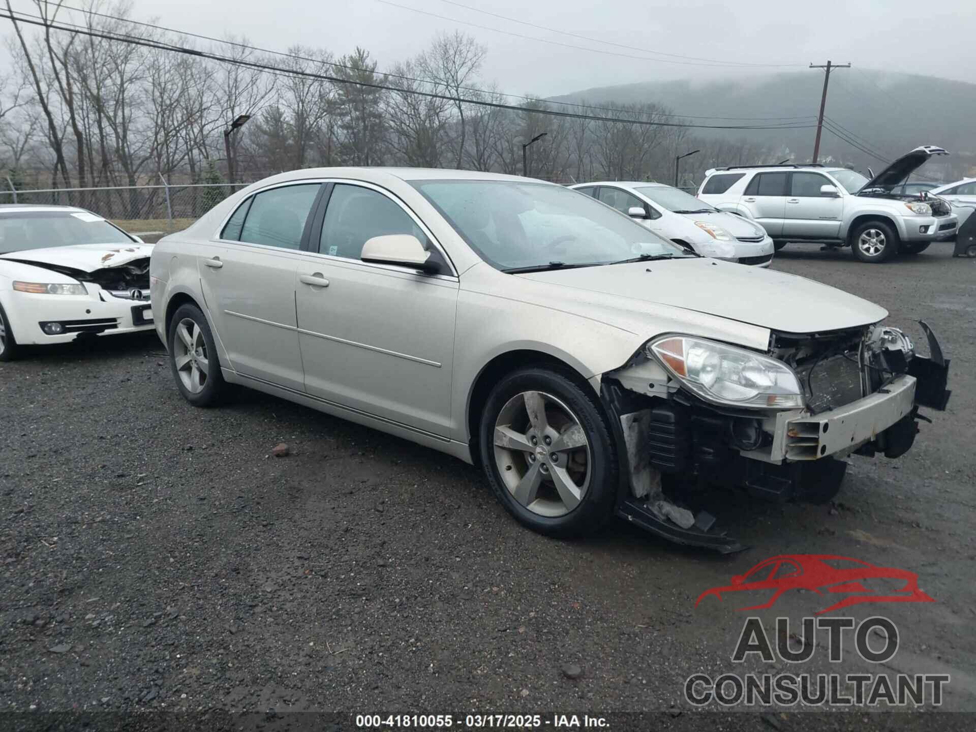 CHEVROLET MALIBU 2011 - 1G1ZC5EU4BF290355