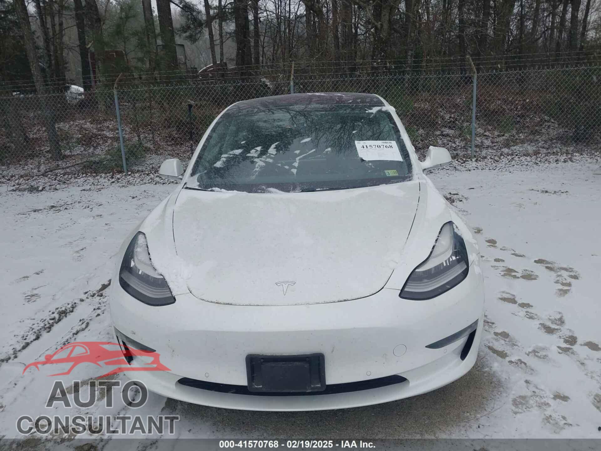 TESLA MODEL 3 2019 - 5YJ3E1EA2KF299730