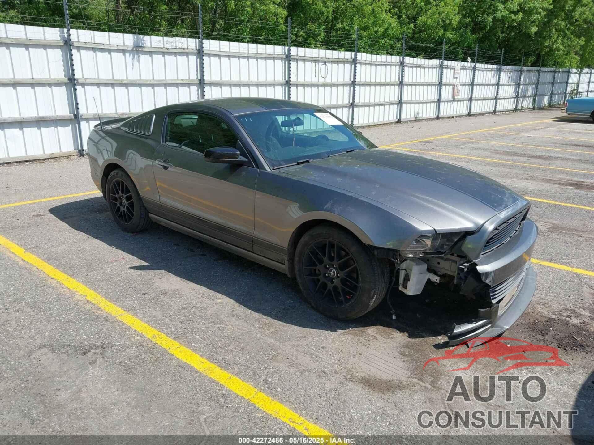 FORD MUSTANG 2014 - 1ZVBP8AM4E5334334