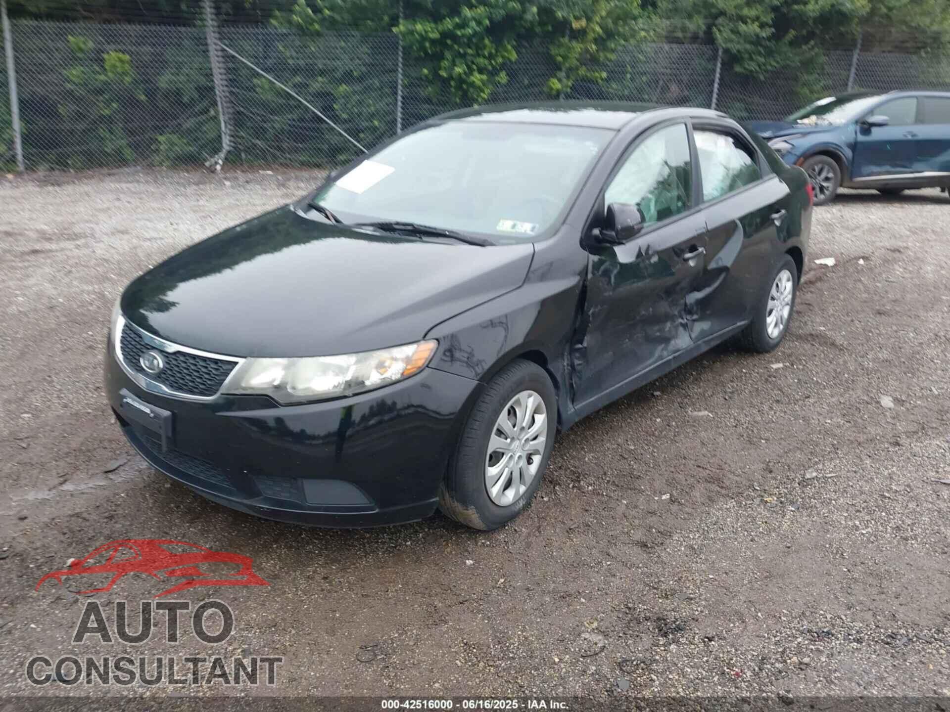 KIA FORTE 2012 - KNAFU4A29C5625765
