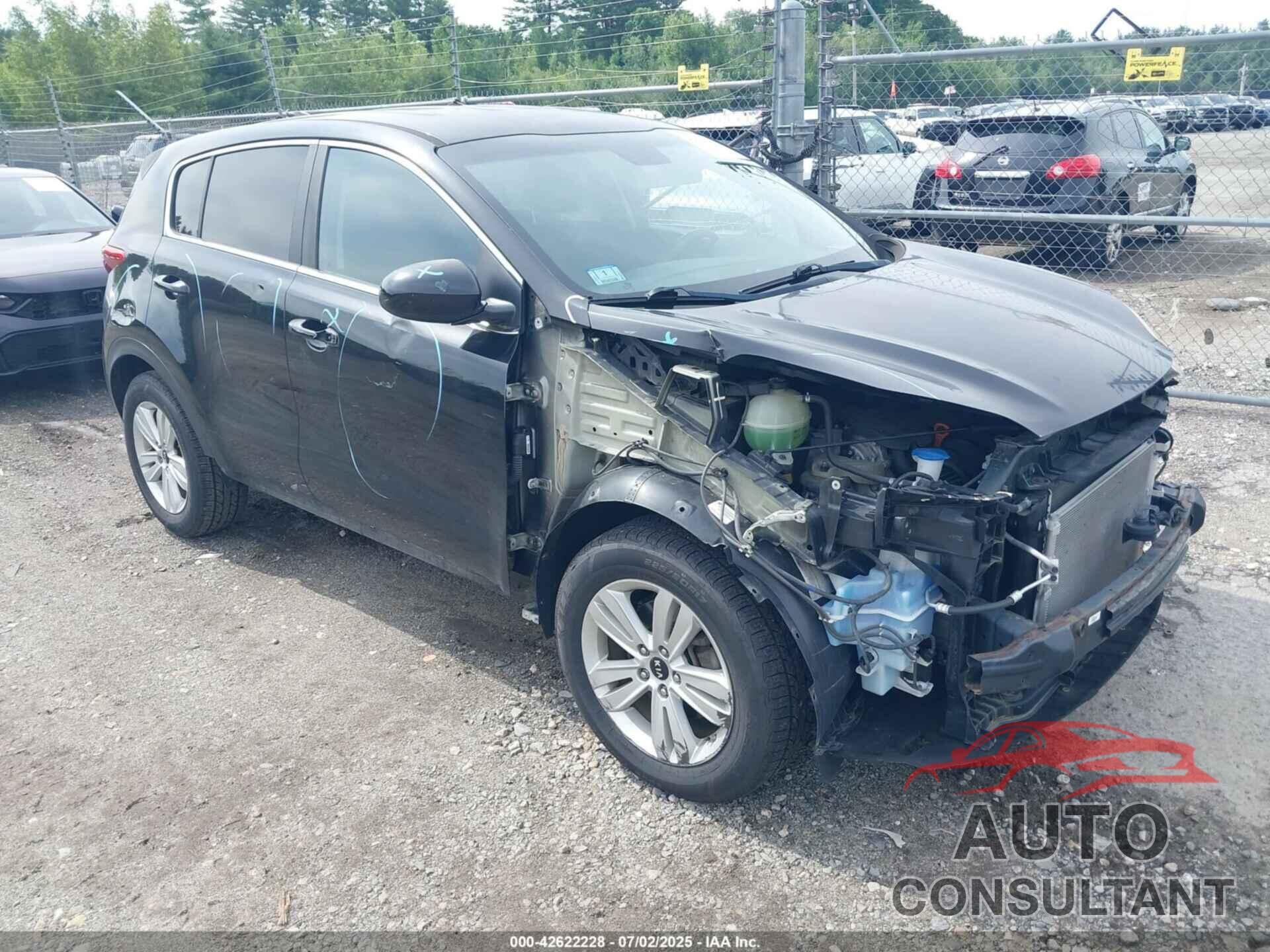 KIA SPORTAGE 2017 - KNDPM3AC9H7069916