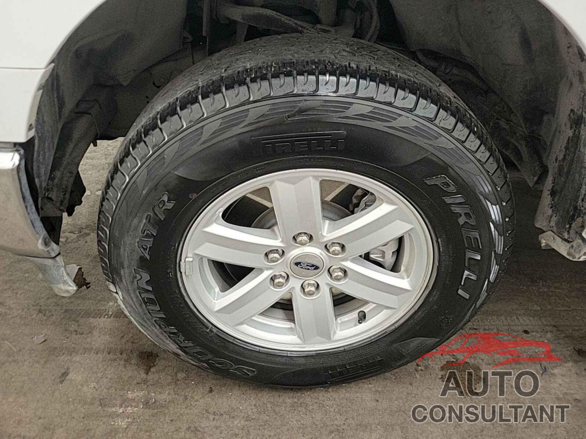 FORD F150 2022 - 1FTFW1ED5NFC41163