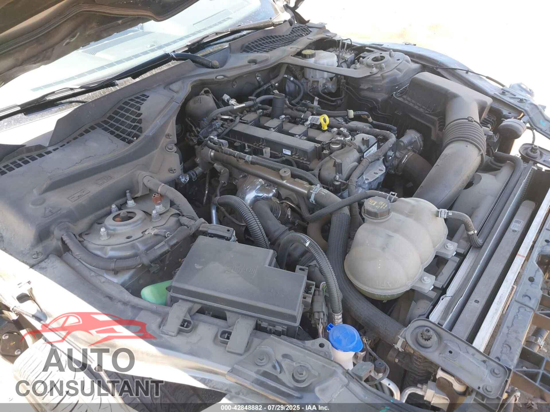 FORD MUSTANG 2021 - 1FATP8UHXM5136299