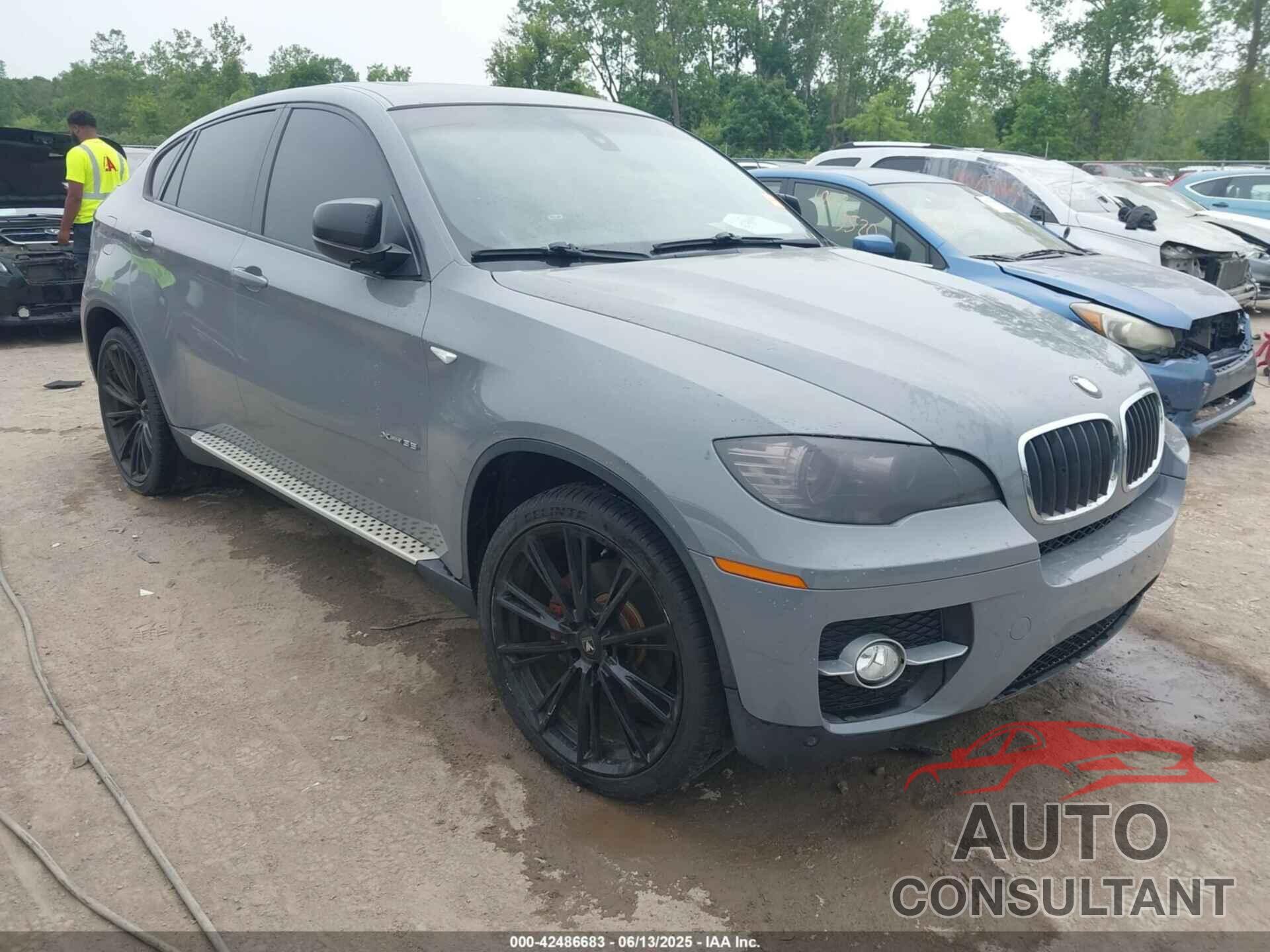 BMW X6 2009 - 5UXFG43579L224378