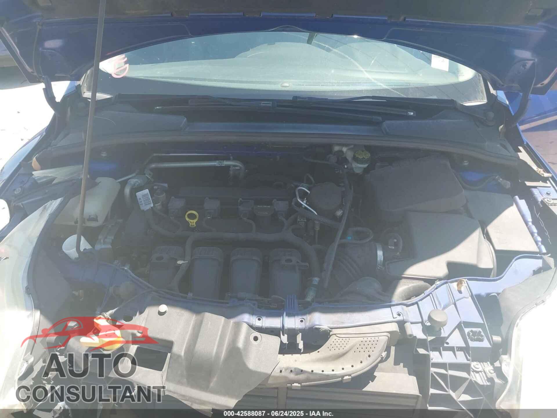 FORD FOCUS 2012 - 1FAHP3K20CL390525