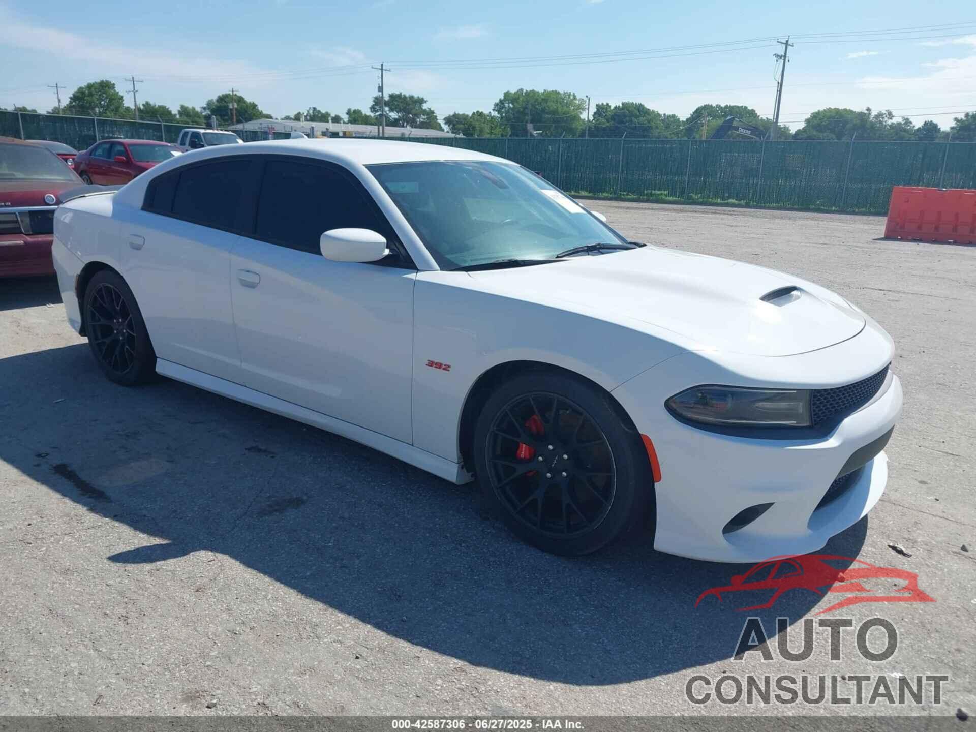 DODGE CHARGER 2017 - 2C3CDXGJ1HH511088