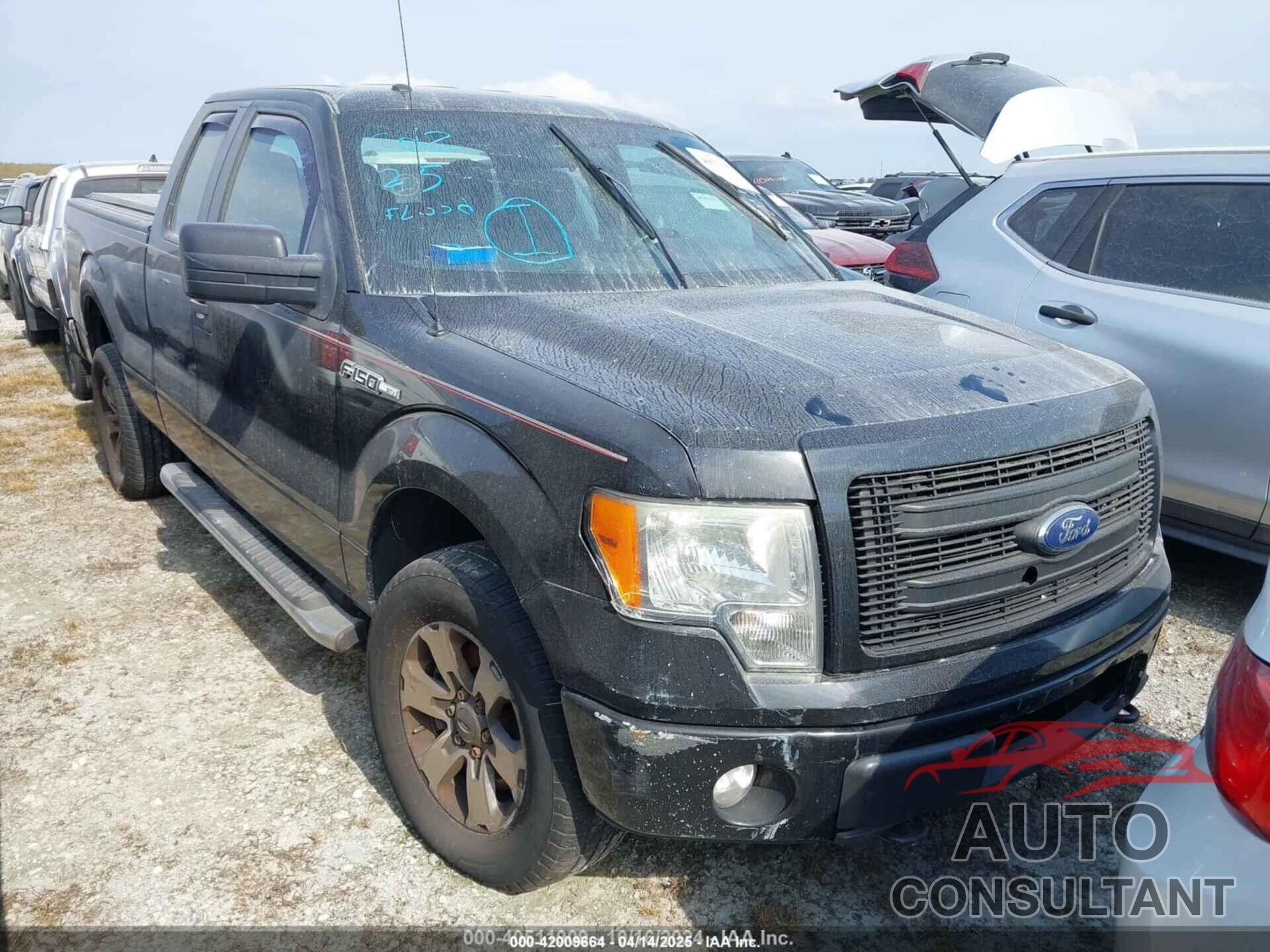 FORD F-150 2013 - 1FTFX1EF1DFD78839
