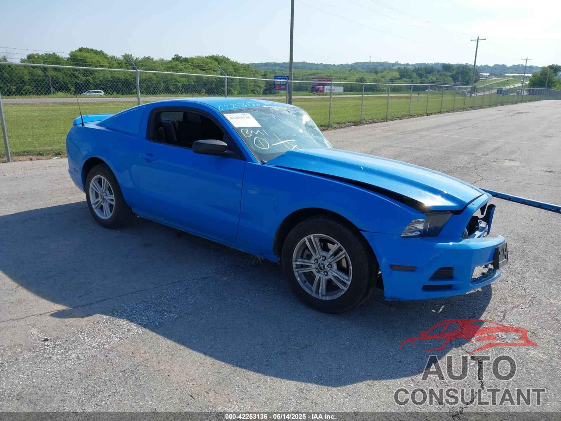FORD MUSTANG 2014 - 1ZVBP8AM5E5250006
